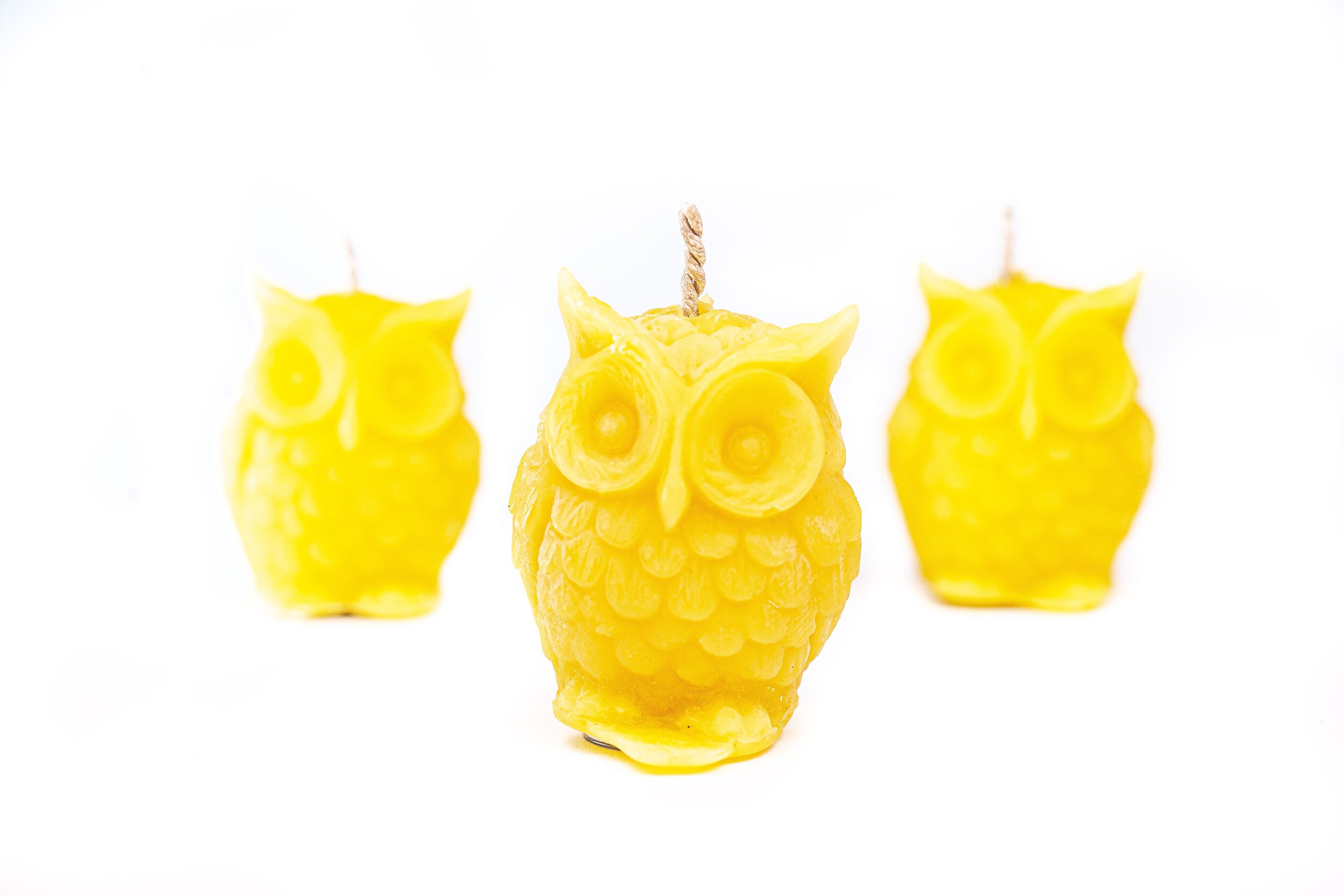 owl.jpeg