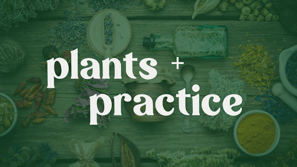 plants and practice.jpg