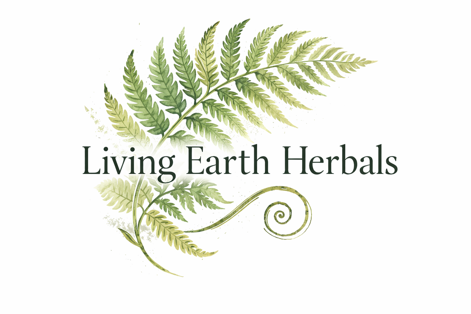 Living Earth Herbals 