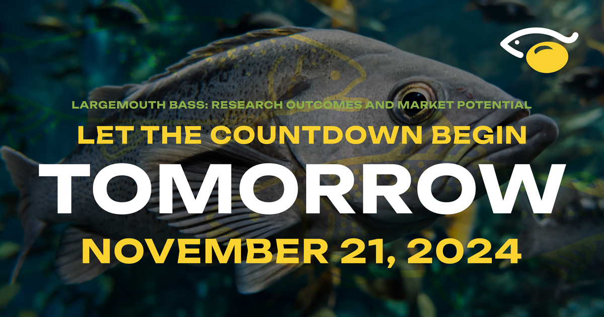 SAAQ_Q4SocialMedia_TOMORROW_241112.png