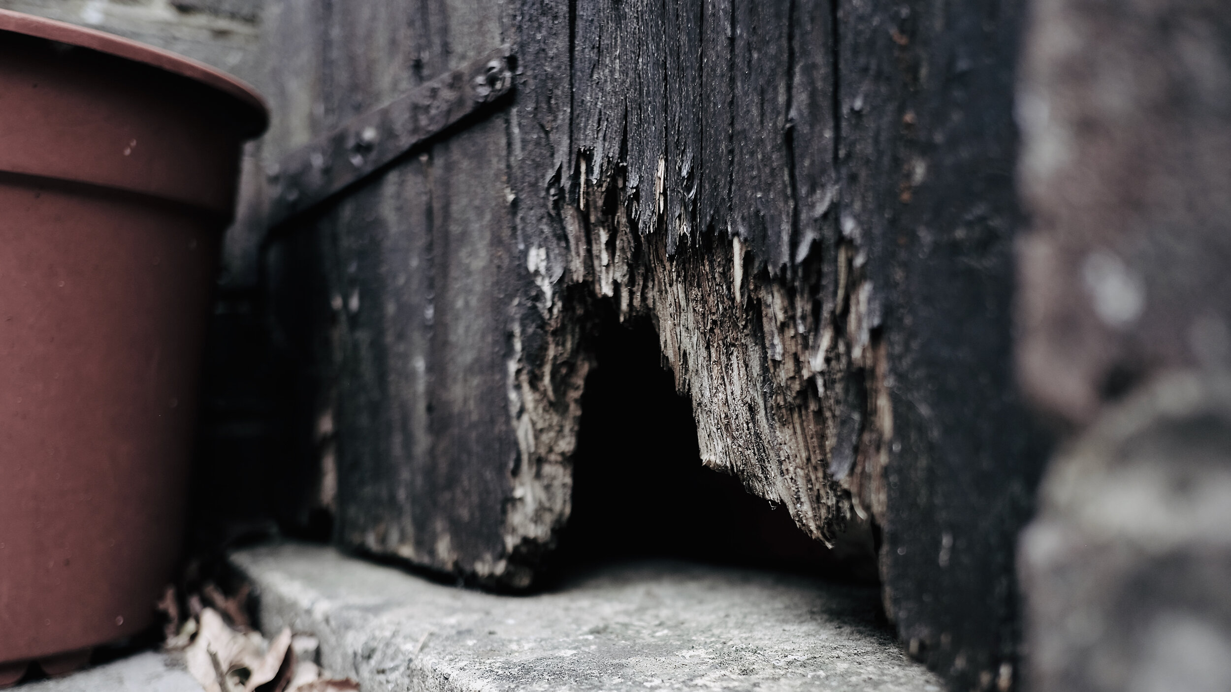 Dead Ends and Secret Doorways