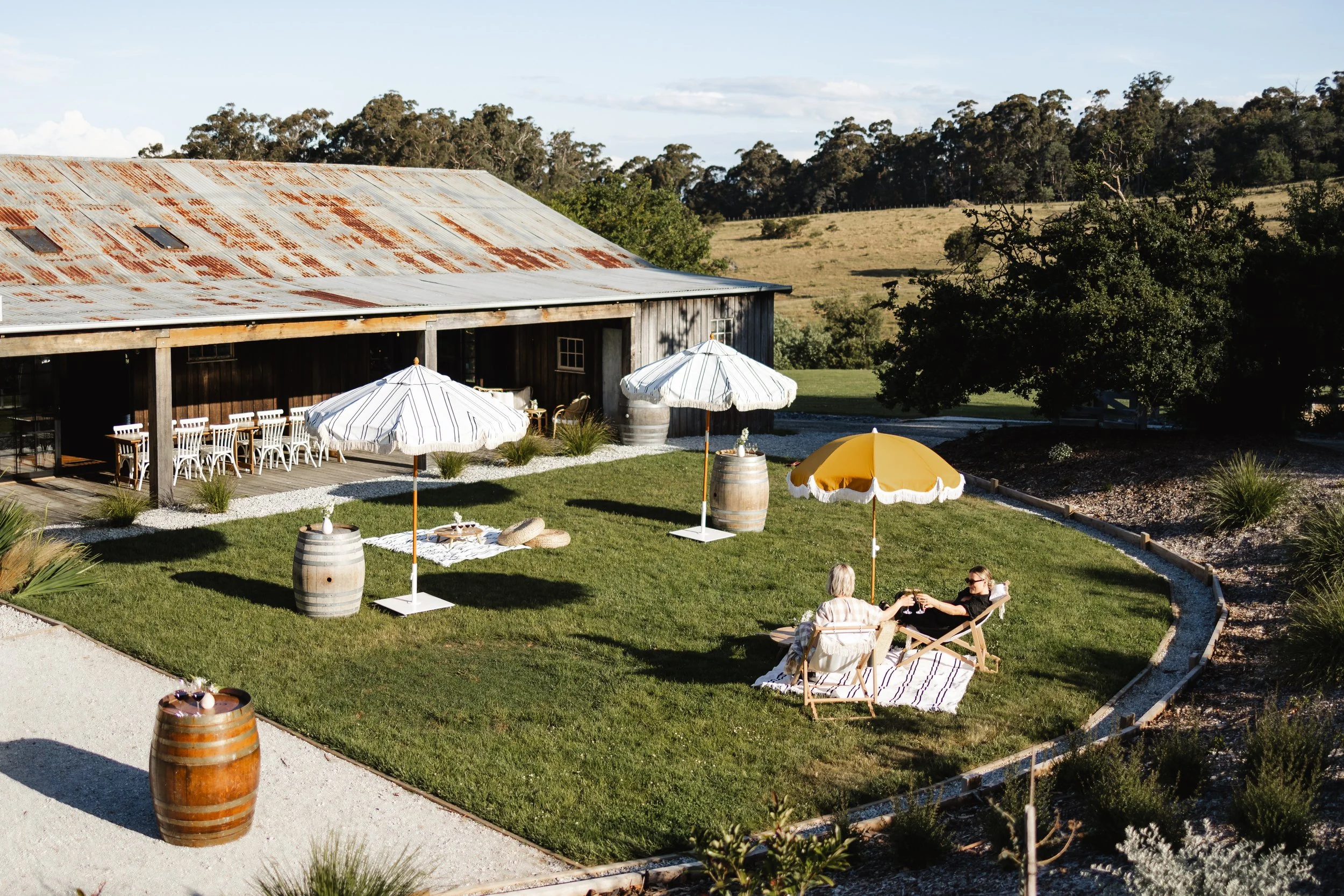 Glendale Vineyard