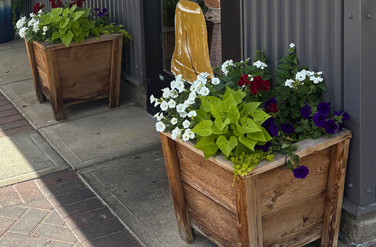 patriotic colored flowers in planters