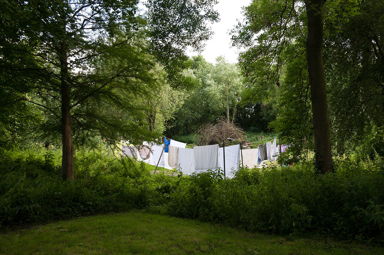 Manor Laundry (Back Garden), 2007