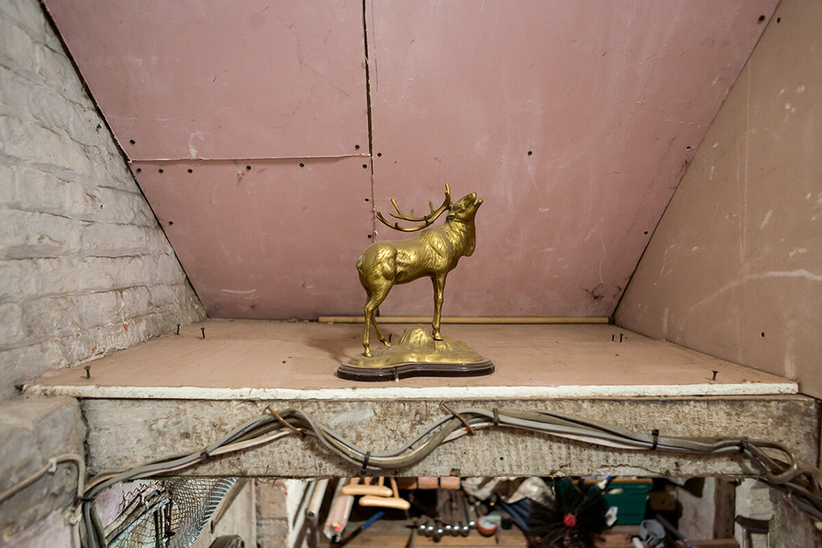 Stag (Manor Basement), 2016