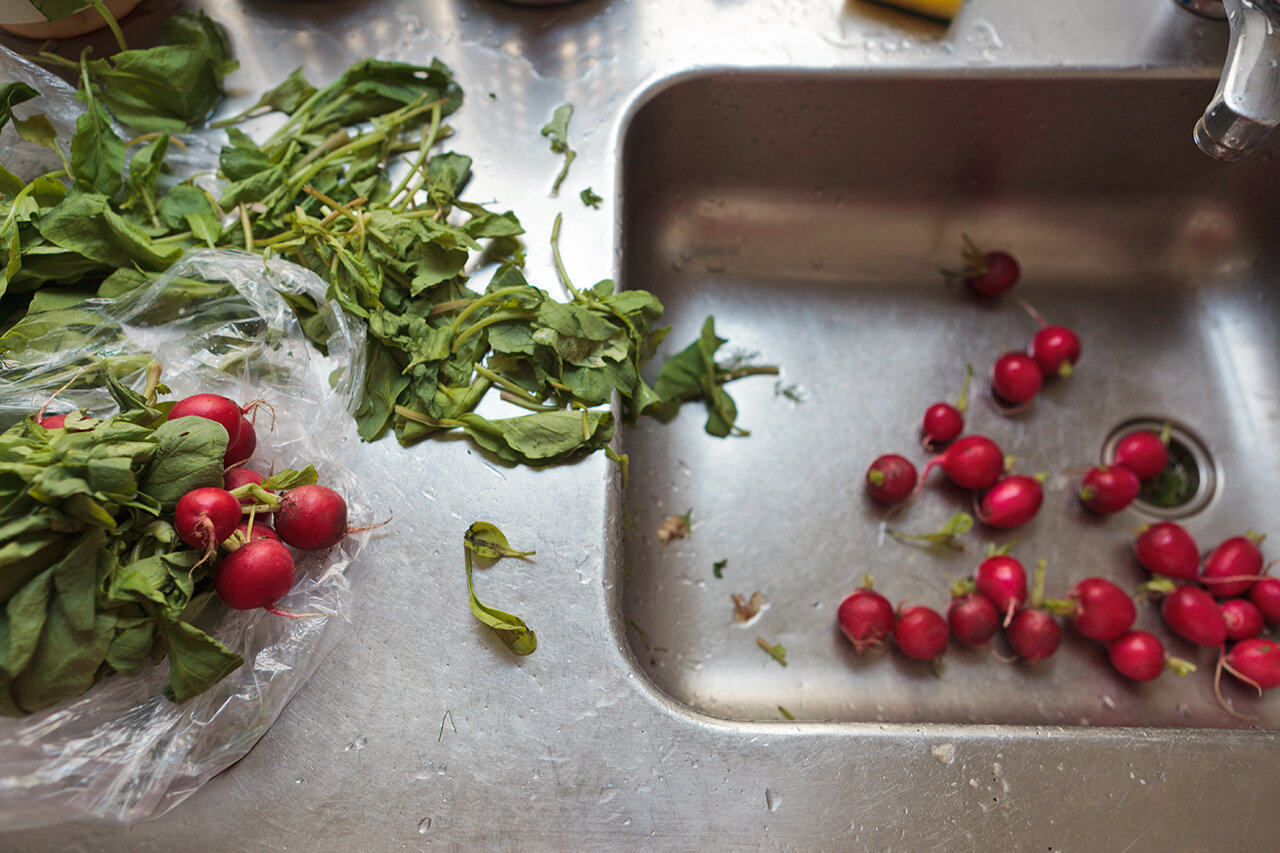 Radishes (Swedish Kitchen), 2011