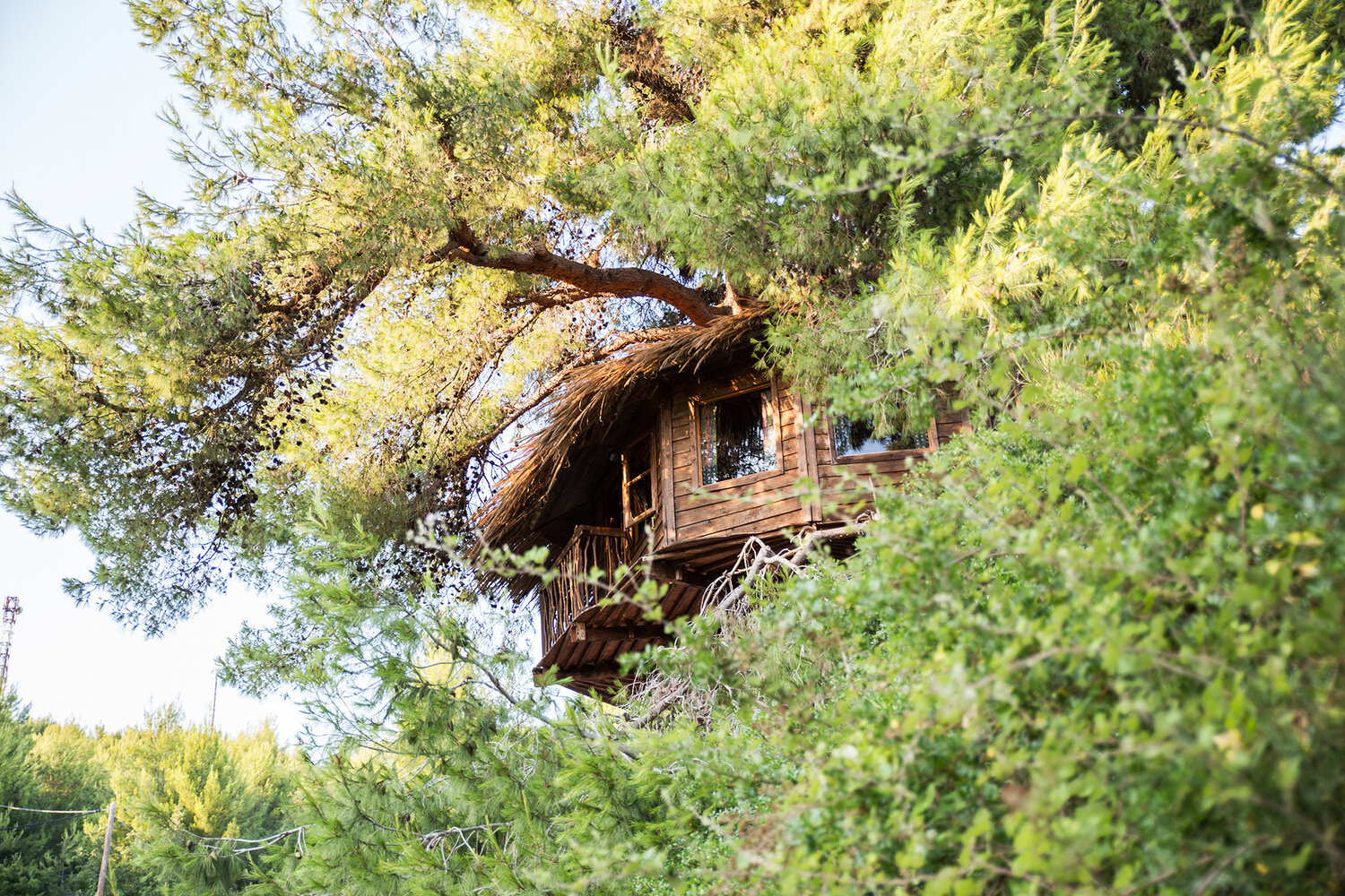 Treehouses