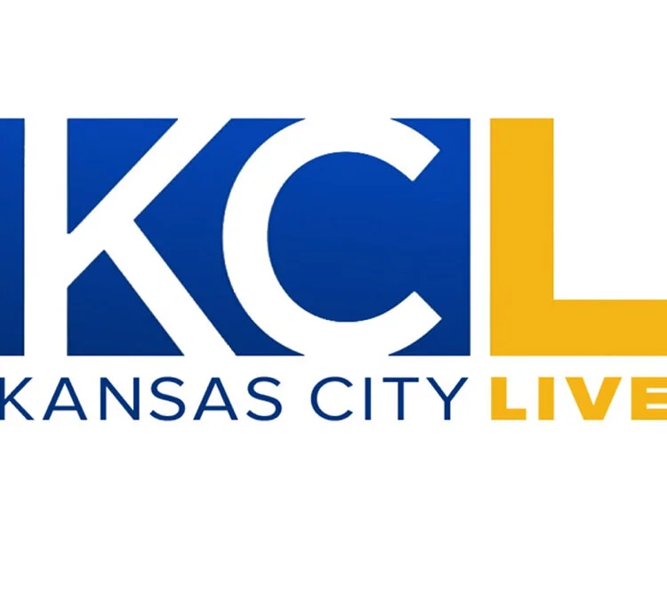 leather handbags; Heal anger, anxiety, grief, and fears to find joy again through mind-body medicine.