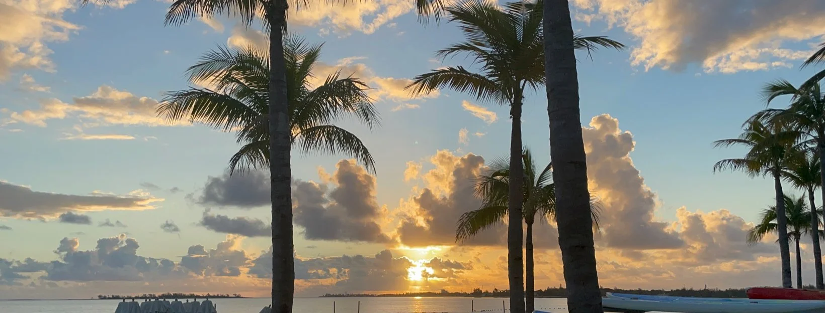 palm trees; heal anger, anxiety, grief, and fears to find joy again through mind-body medicine