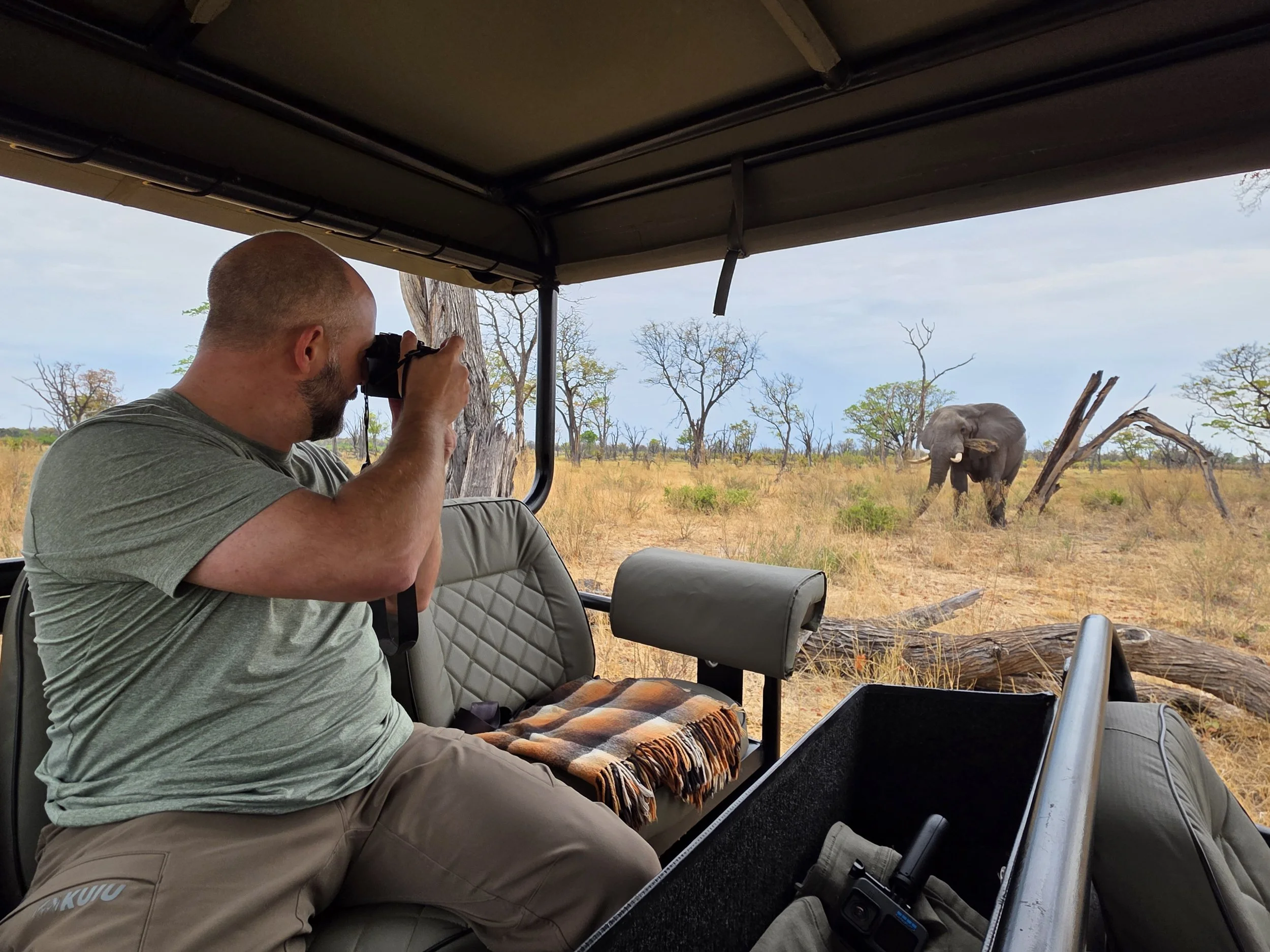 taking picture of elephant on morning safari.jpg