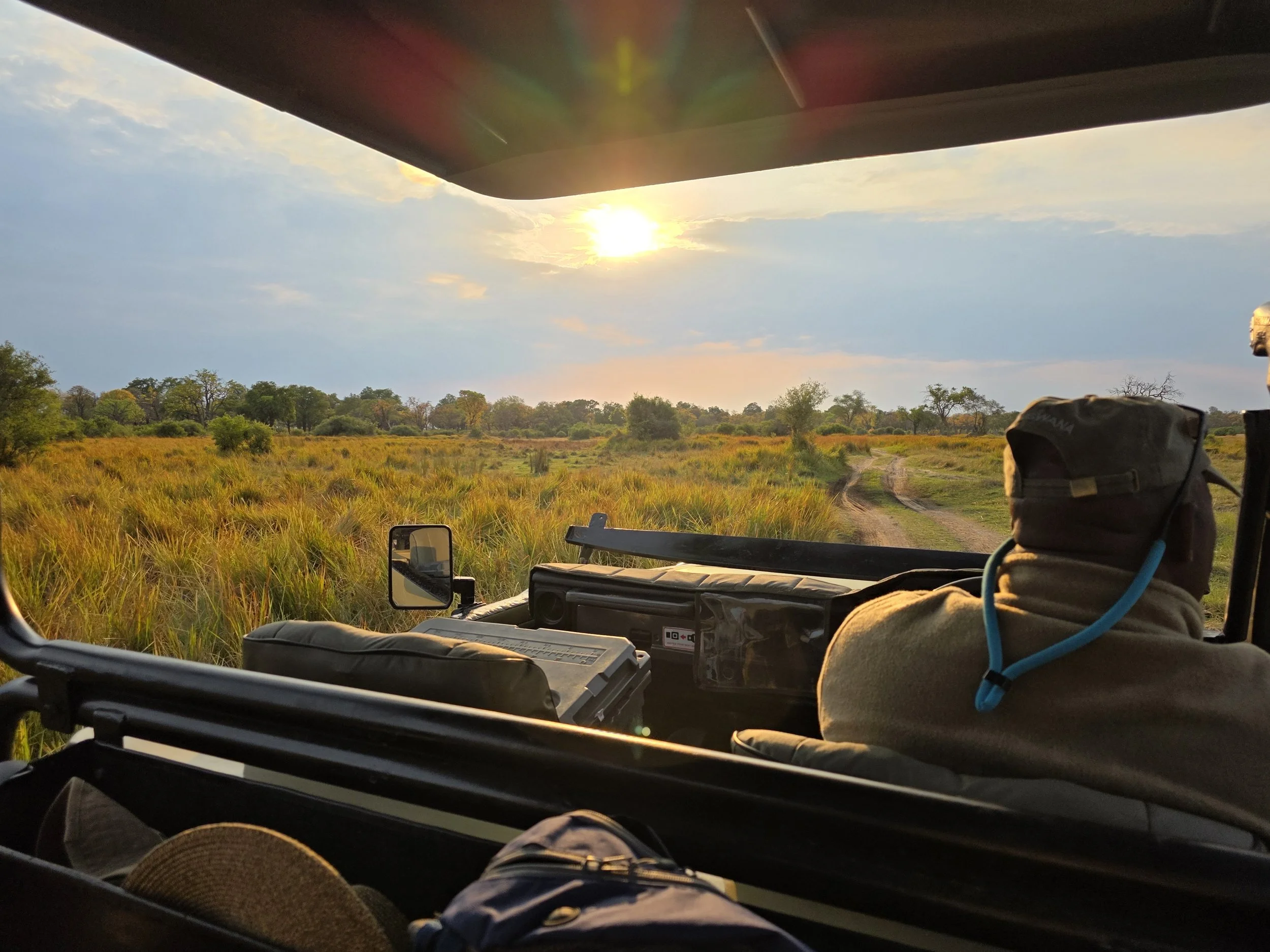 Morning game drive in Botswana.jpg