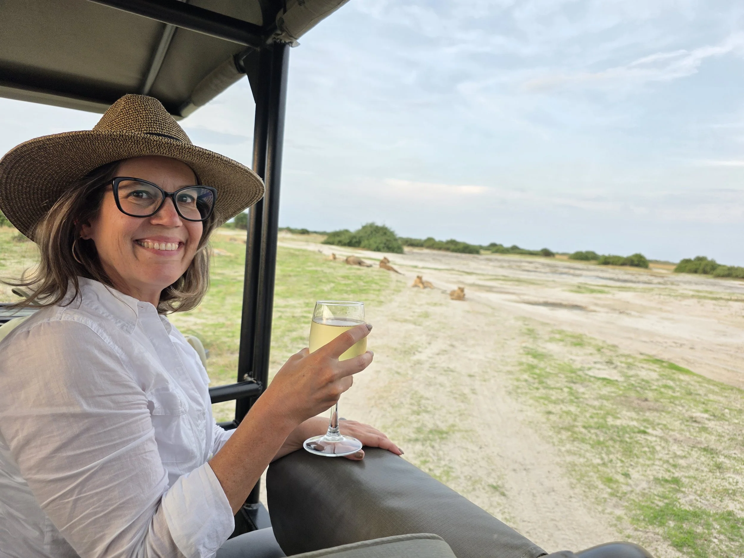 sipping wine while watching a pride of lions- sundowner time