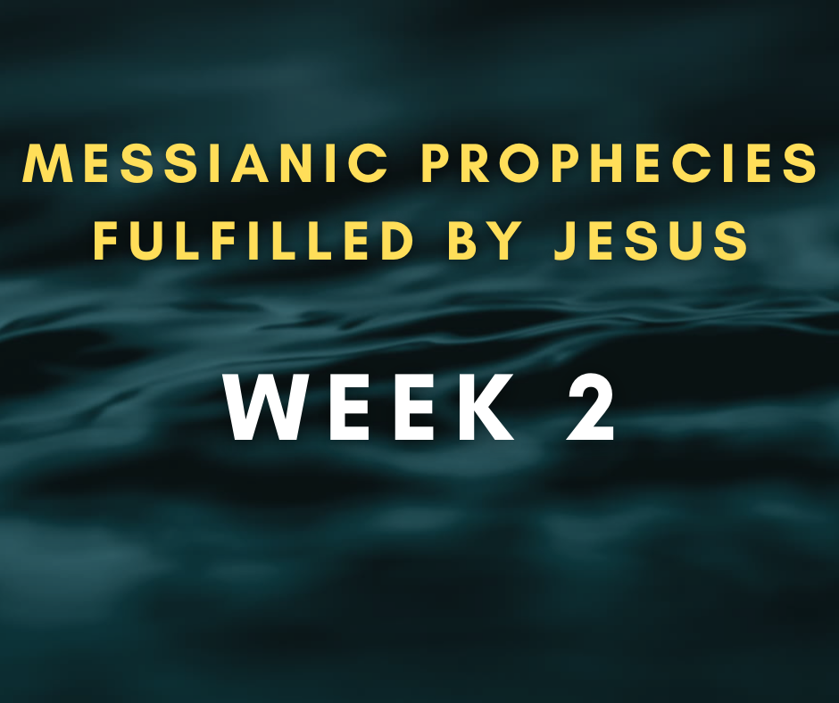 Devotionals for Wednesday: December 8