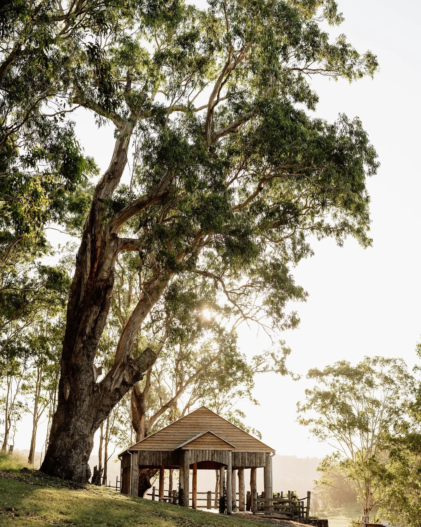 The breathtaking Bush Chapel, a perfect spot for you to say “I Do”
We just can’t get enough, and neither can all of our couples 🤍🤎
#weddingceremony #weddingvenue #farmweddings #discoverthehawkesbury #weddingphotography