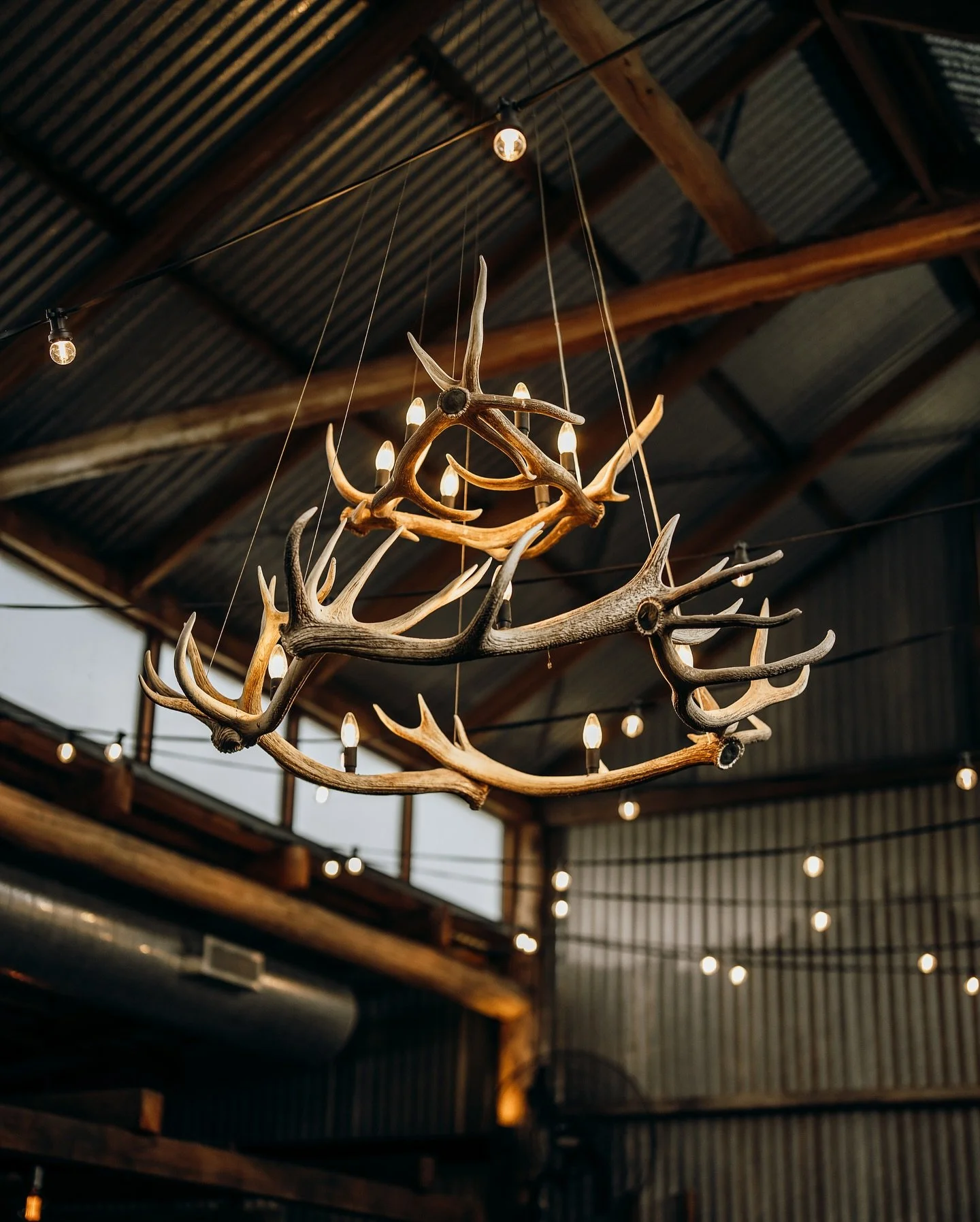 There&rsquo;s so many beautiful things about our reception space &ldquo;The Packing Shed&rdquo; but this one is extra beautiful. Created by @rapid_effects, we purchased this back in 2013, knowing it would be perfect in our vaulted ceiling. The compli