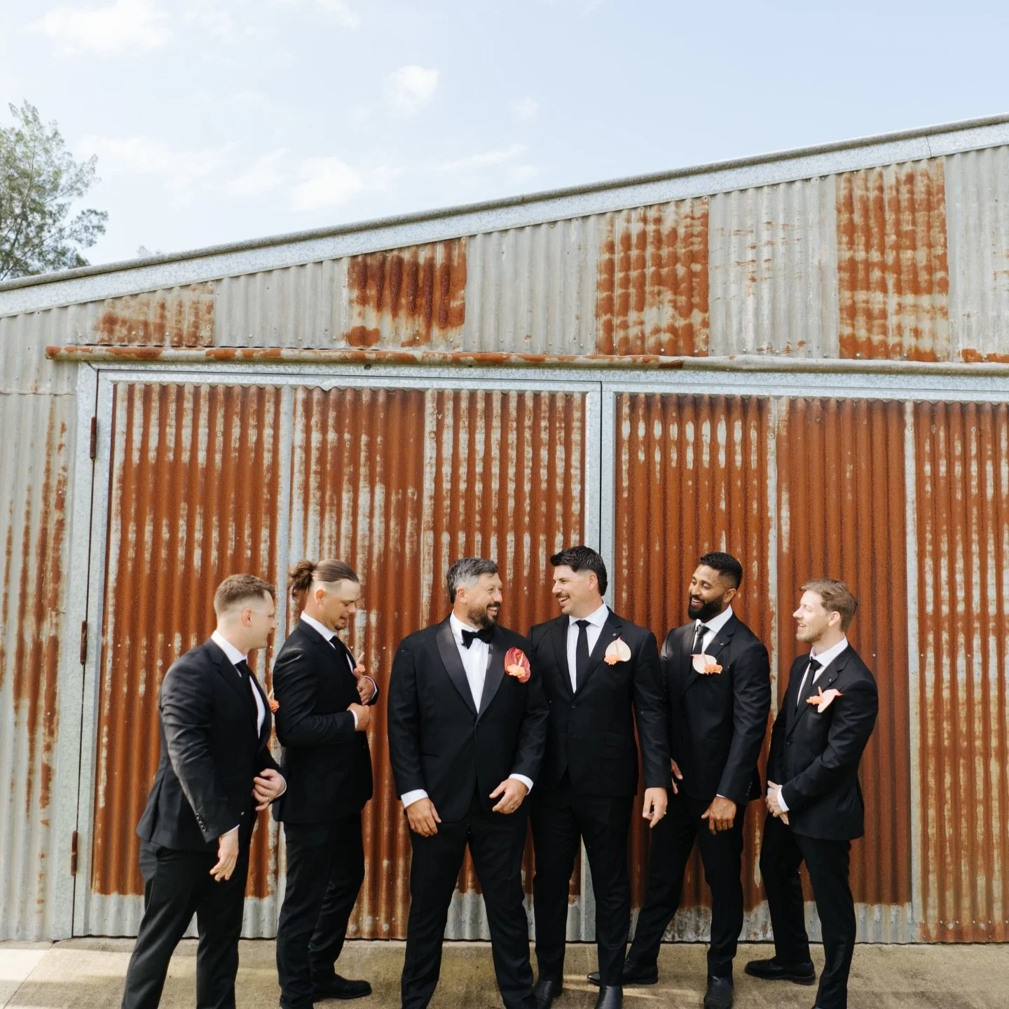 The lads found the perfect spot for their groomsmen photos, the Harley was the cherry on top 
@jakegrosso @tiarngrosso @hellosweetheartau 

#weddingvenue #weddingphotography #bridalparty #farmweddings #harleydavidsonmotorcycles