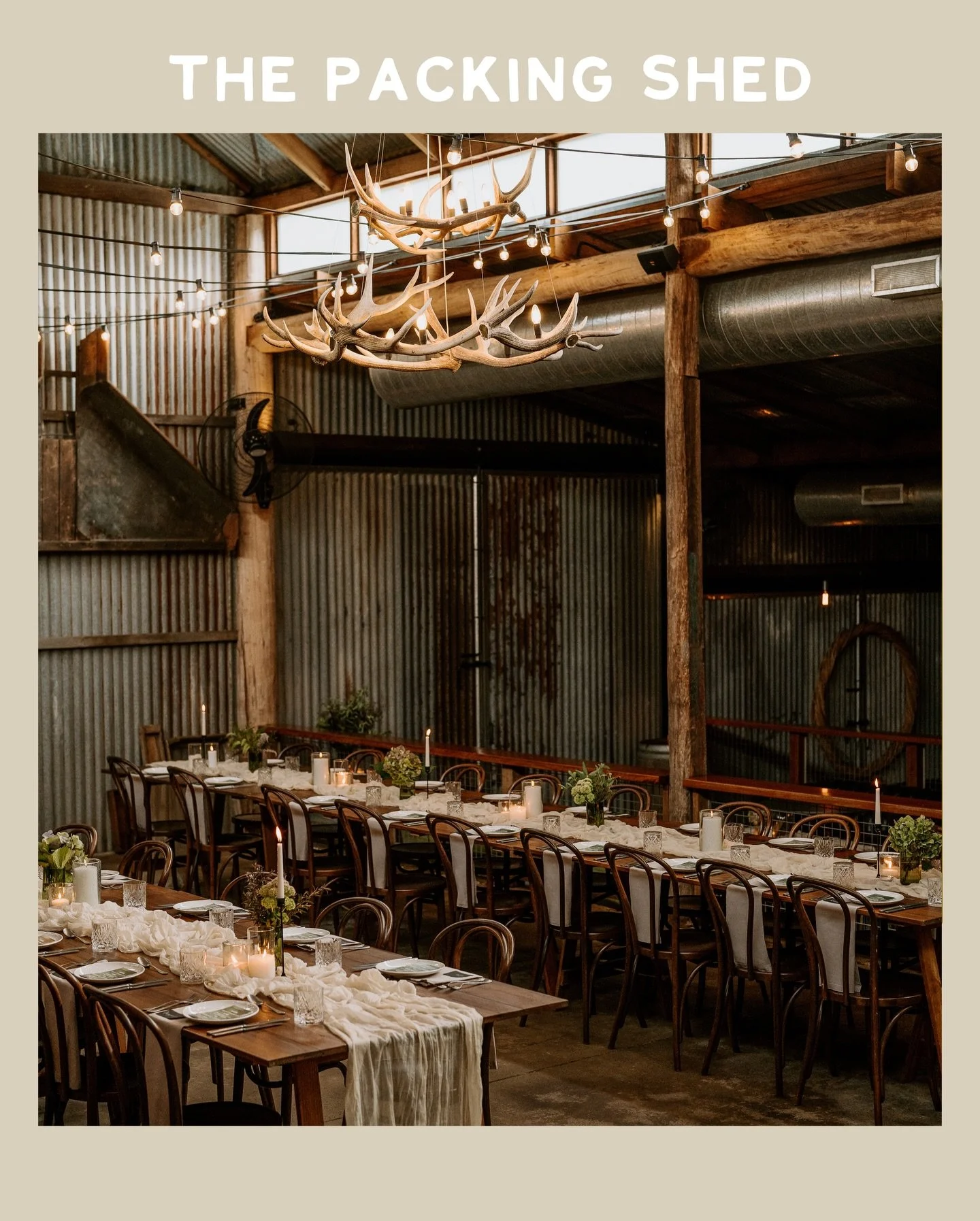 At Lilburndale we&rsquo;ve got everything covered when it comes to your wedding reception. Our 120-year-old citrus packing shed is bursting with character and unique details that set the perfect vibe for your celebration. With all the essentials incl