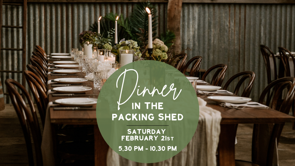 Lilburndale x Short St Kitchen Dining Series