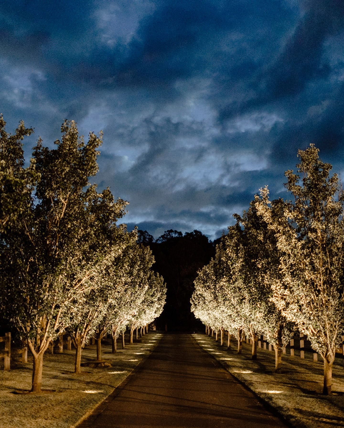 This night time magic created by @kirstencunninghamphotography. When a wedding photographer takes the time to get unique shots of the venue it&rsquo;s a hard yes from us 🙌🏻