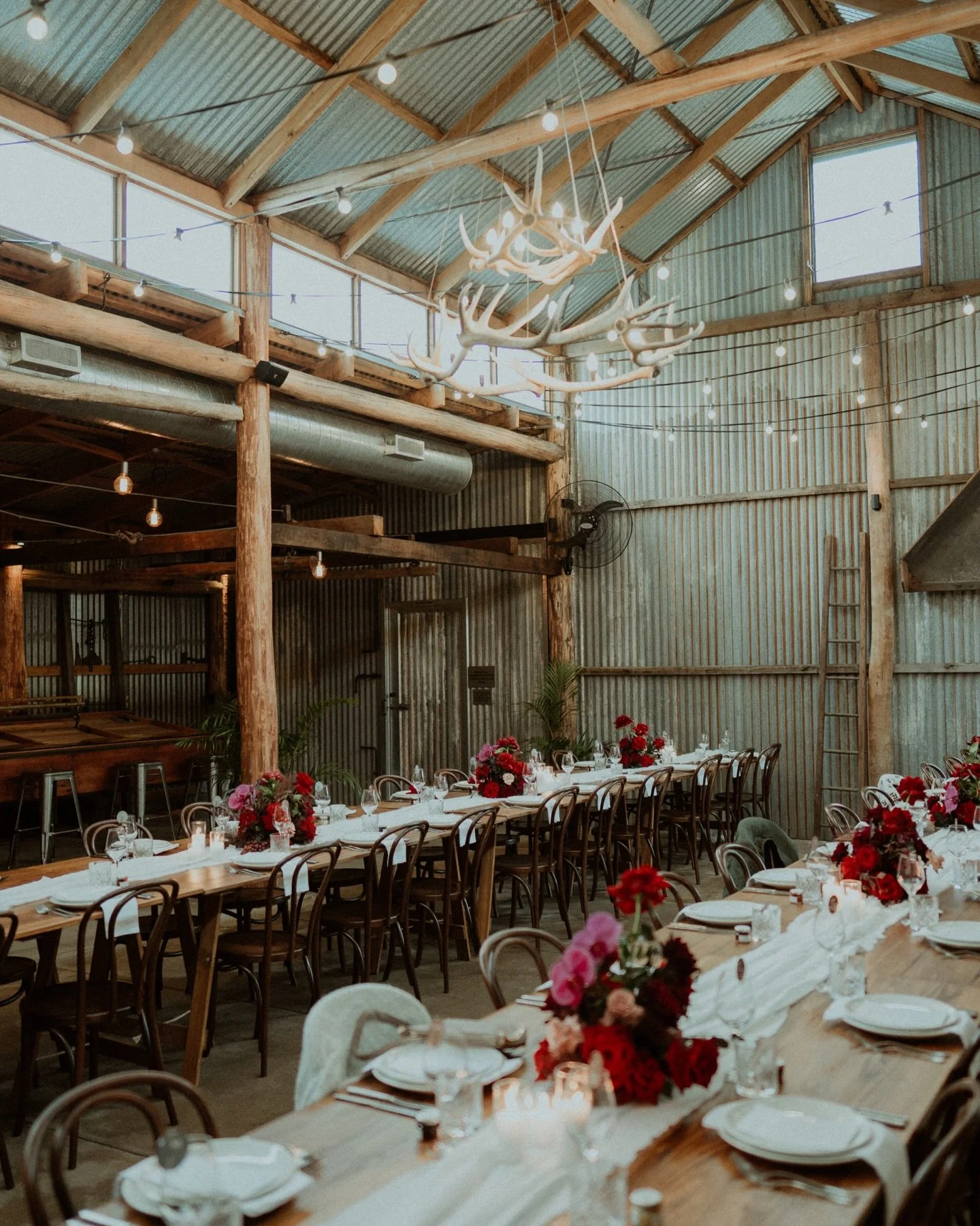 The beauty of The Packing Shed ❤️💜🩷🤍. The perfect reception venue for your one of a kind wedding 

#wedding #weddingvenue #farmweddings #weddingreception #lilburndale