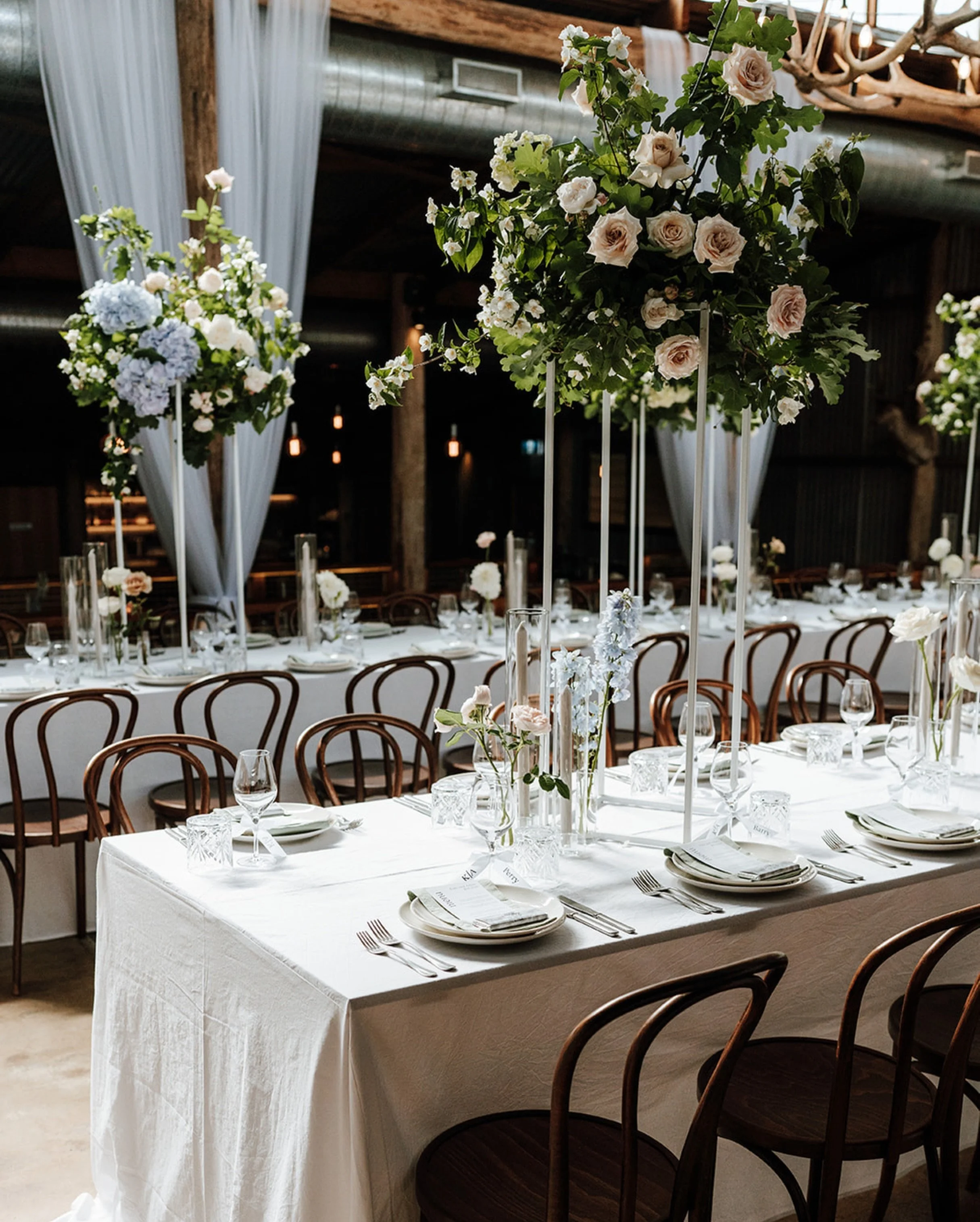 The Packing Shed like it&rsquo;s never looked before. What an absolute treat to have our bride, Kate, and Mother of the Bride Julie put so much time into bringing their vision to life.
🪻by @heritagefloral.co 
📷 by @translucent_photography 

#weddin