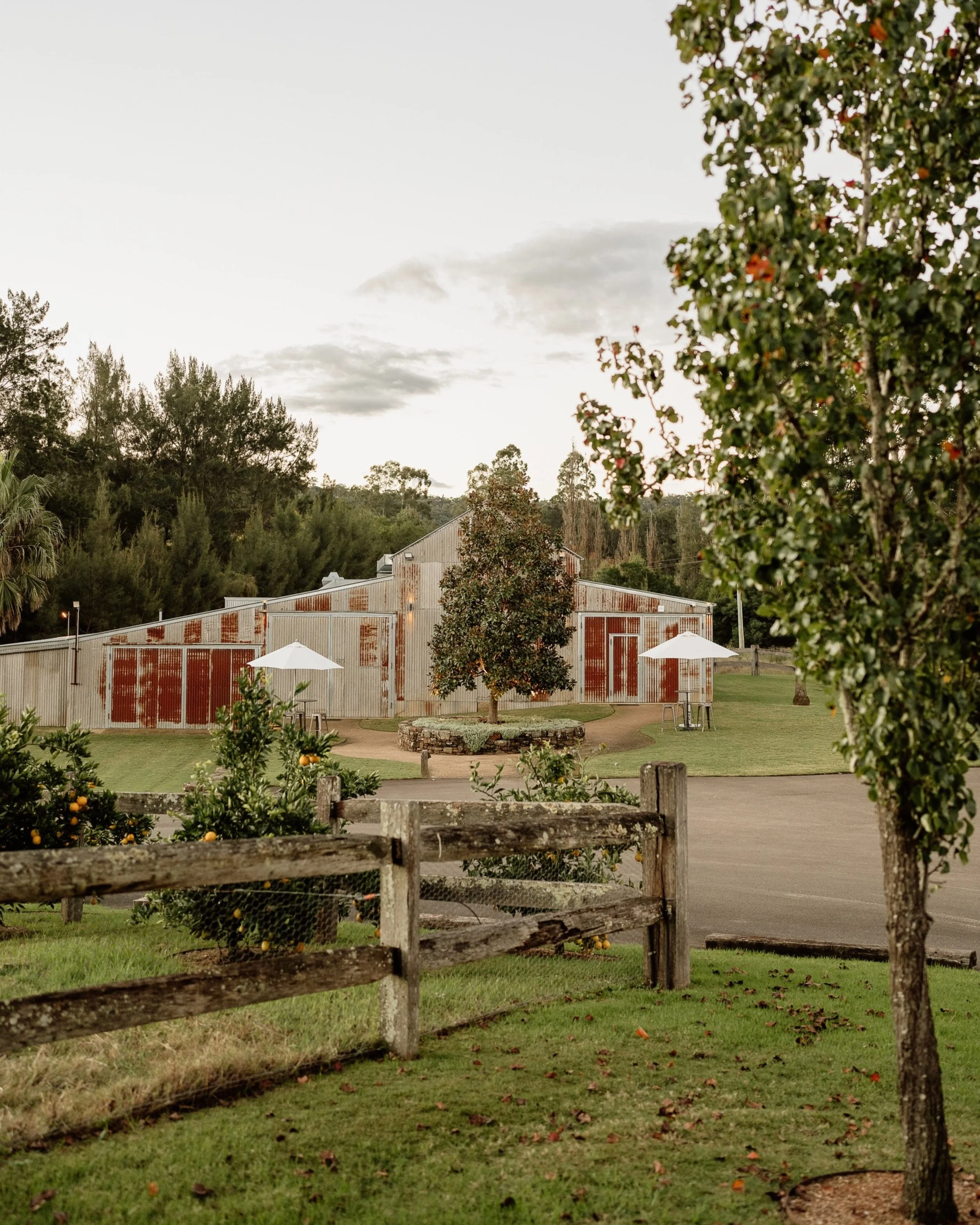 The Packing Shed-our wedding reception space, sitting pretty in this beautiful winter weather. Surrounded by our oranges, grafted from the original remnants of the orange orchard down Lilburndale Valley. Doing our best to honour the history of this b