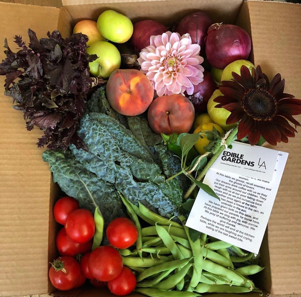 Manifesting this sort of haul from my spring garden.⠀
⠀
Heavenly veg via @ediblegardensla