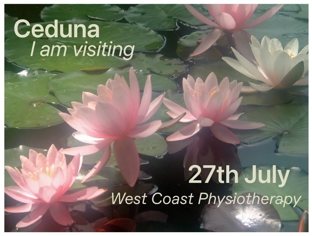 Ceduna, I think it&rsquo;s time for me to save you the drive! 

I&rsquo;m visiting @westcoastphysiotherapy to offer naturopathic consultations on the 27th of July! 

I just opened the bookings on my website, hop on to organise a time! 🩷
