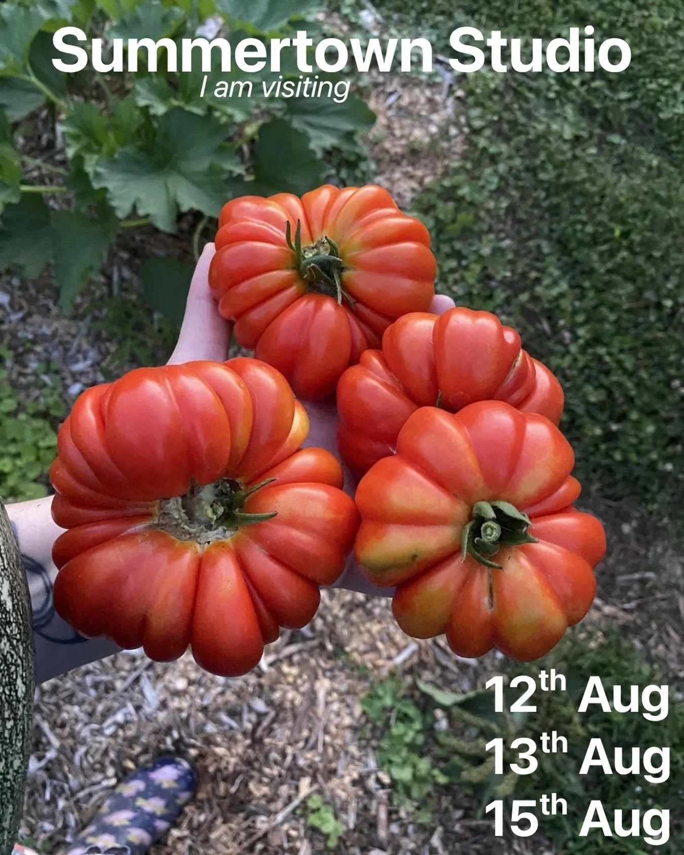 Back at my favourite place in August! 
@summertownstudio 🍅
Link in bio to book your spot!