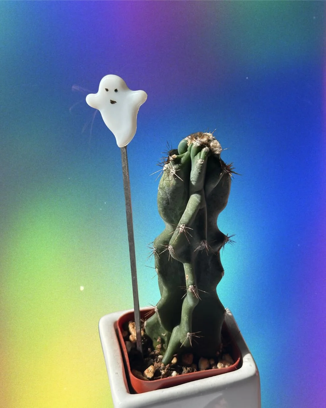 ₊✩☽⋆𝖍𝖆𝖕𝖕𝖞 𝖍𝖆𝖑𝖑𝖔𝖜𝖊𝖊𝖓 𝖋𝖗𝖔𝖒 𝖈𝖑𝖚𝖒𝖘𝖞 𝖜𝖔𝖗𝖑𝖉 ⋆☾✩⁺