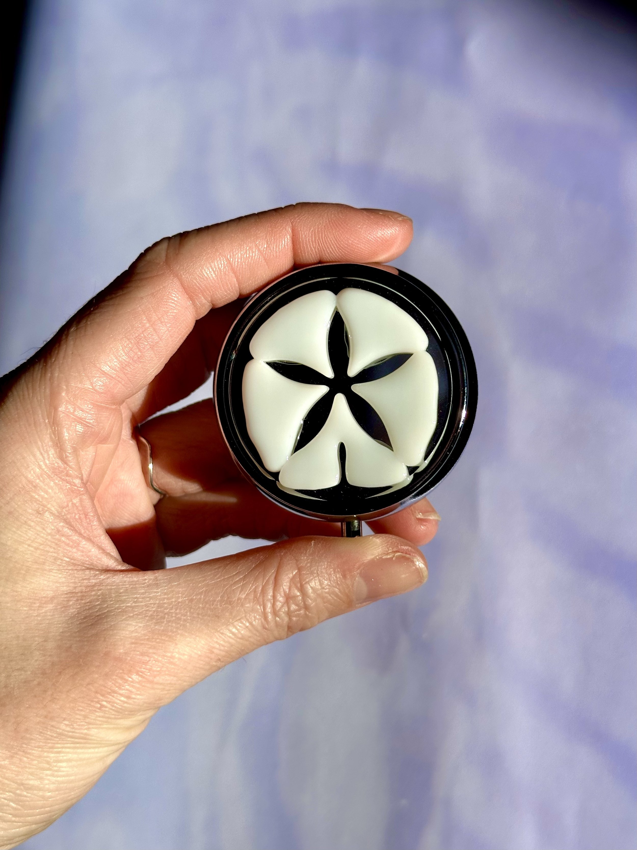 sand dollar pill box