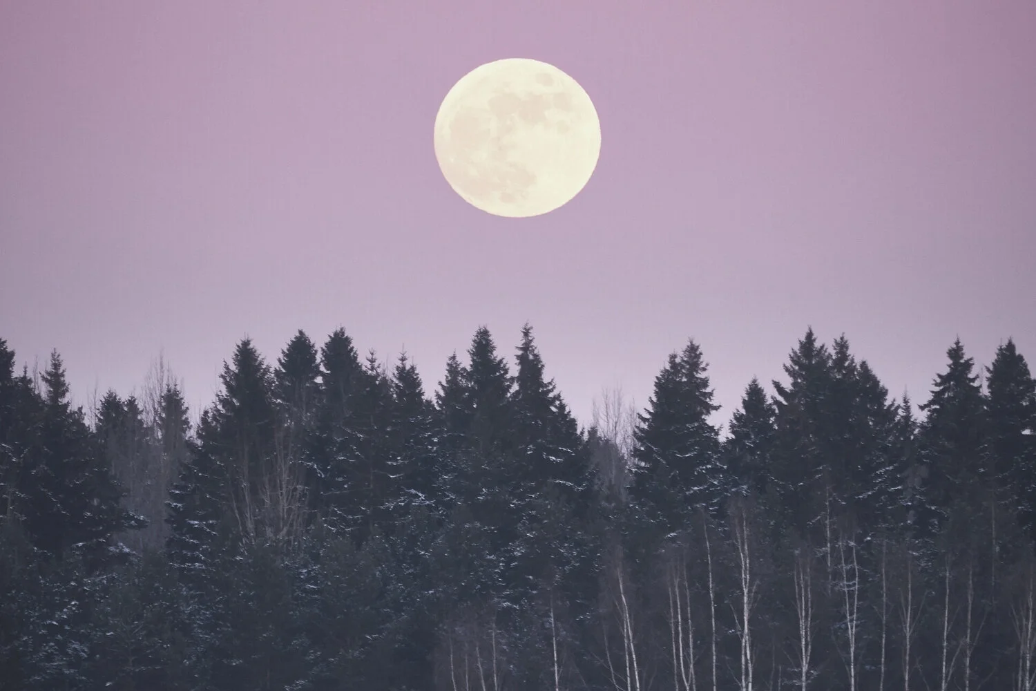 Full Moon in Virgo
