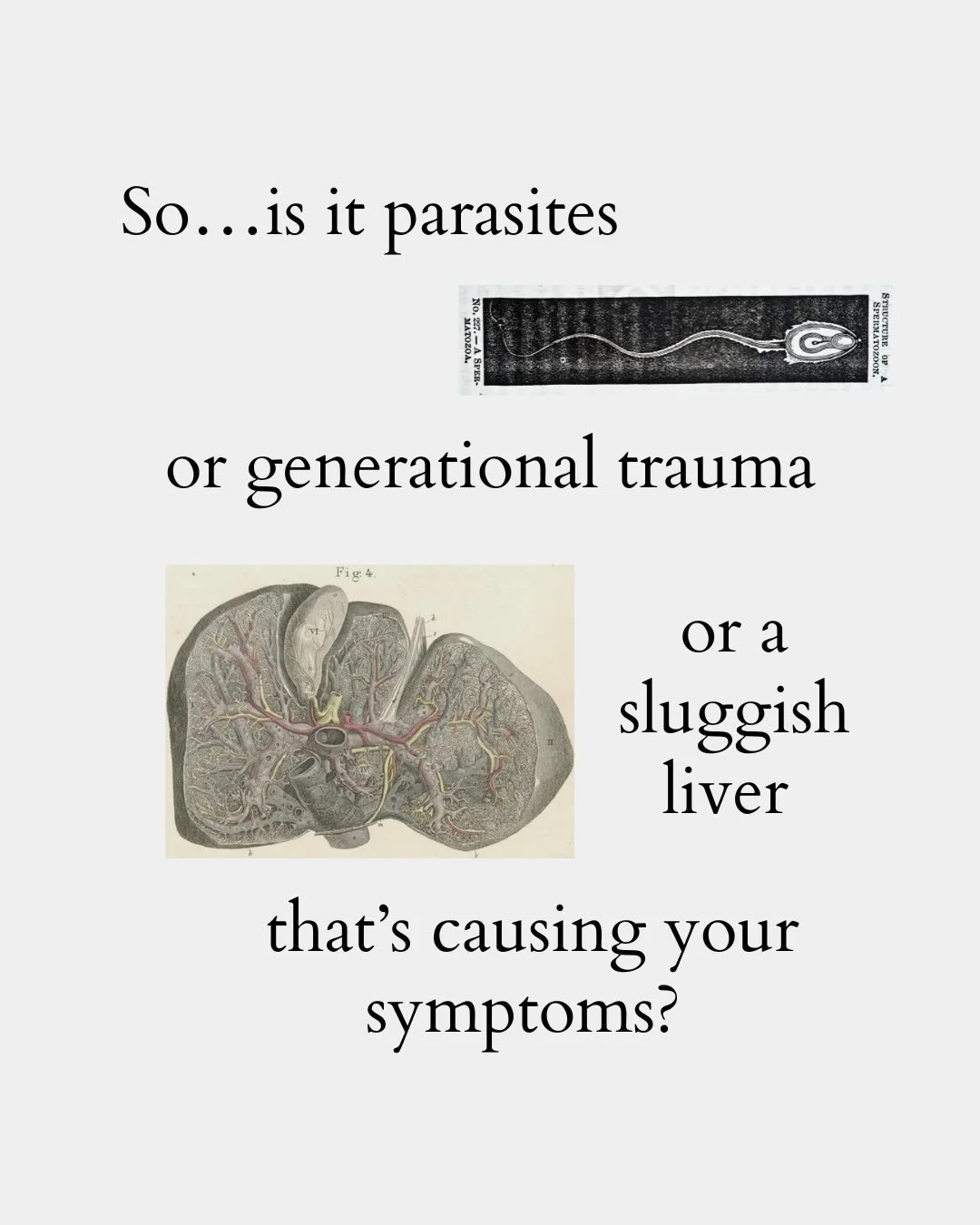 PS: If you&rsquo;re not ready to commit to a full 8-weeks with me, you can get get a taste of my vibe and make sure I&rsquo;m not another online wellness scammer in my 2-day workshop BODY LANGUAGE, on April 1st and 2nd. 

On the other hand, if you wa