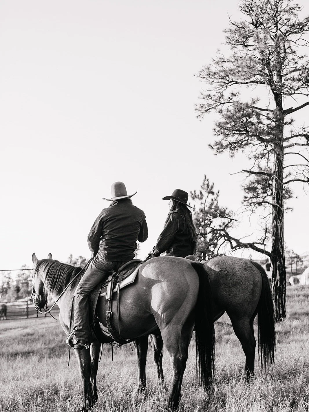 Born &amp; Raised in the west. D.James has always put quality craftsmanship, design, and experience first. Thanks for allowing us to help bring out The West in you. 
&bull;
#djameshats #hattrailer #montana