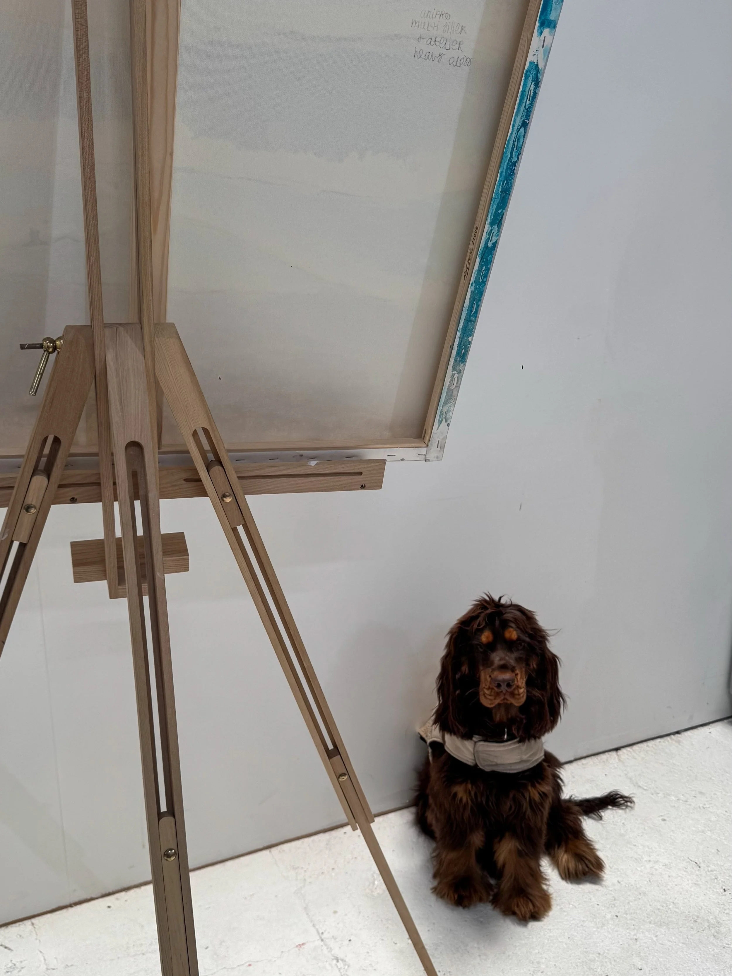 The worlds greatest (laziest) studio assistant 

#artdog #studio #artist #puppy #brisbaneartist
