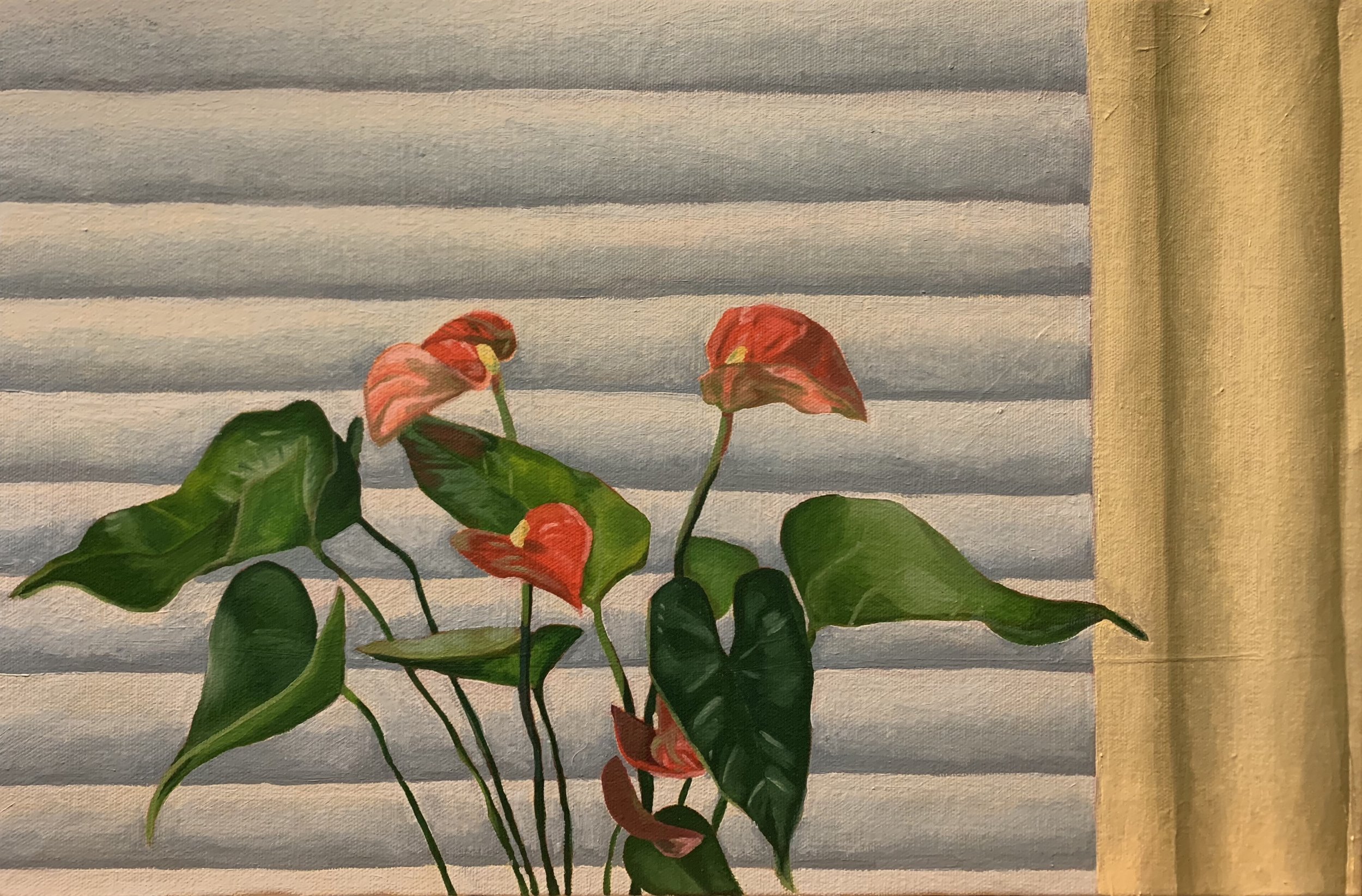 Laceleaf And Blinds, 2019. Oil on canvas.