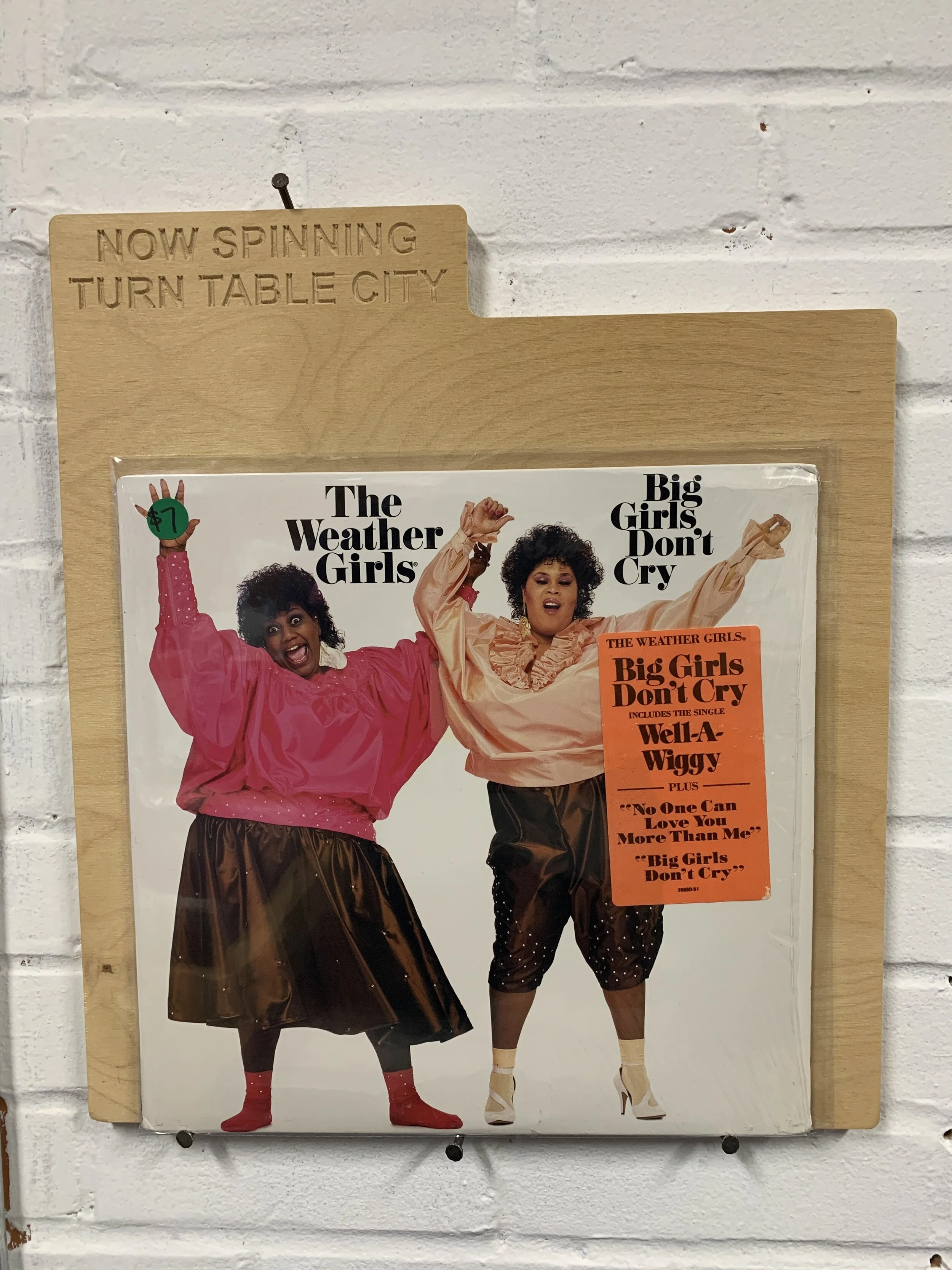 The Weather Girls- Big Girls Don't Cry (used)