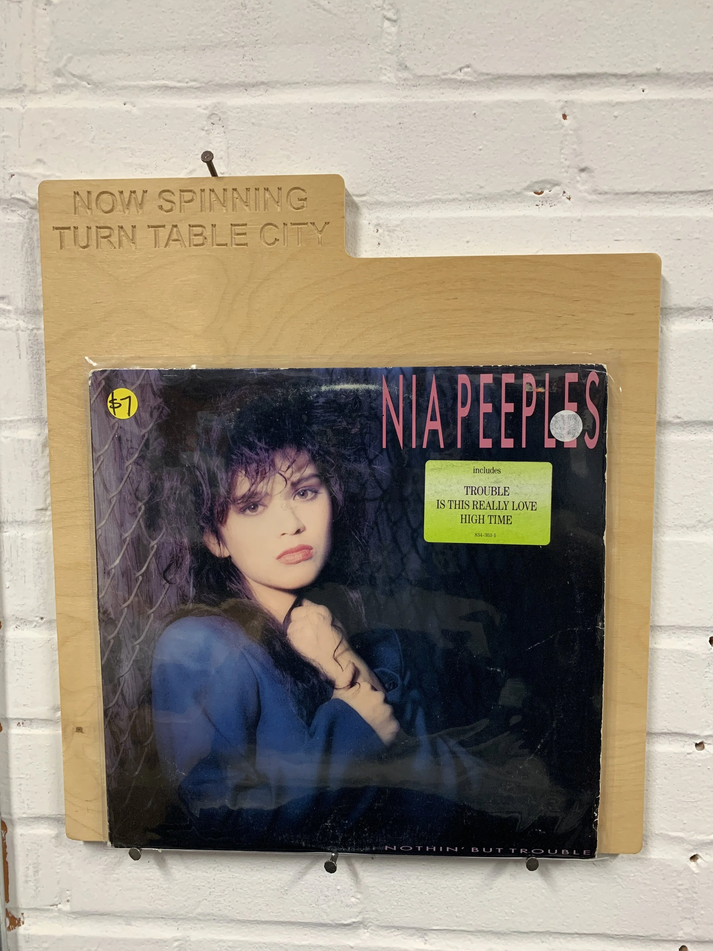Nia Peeples- Nothing But Trouble (used)