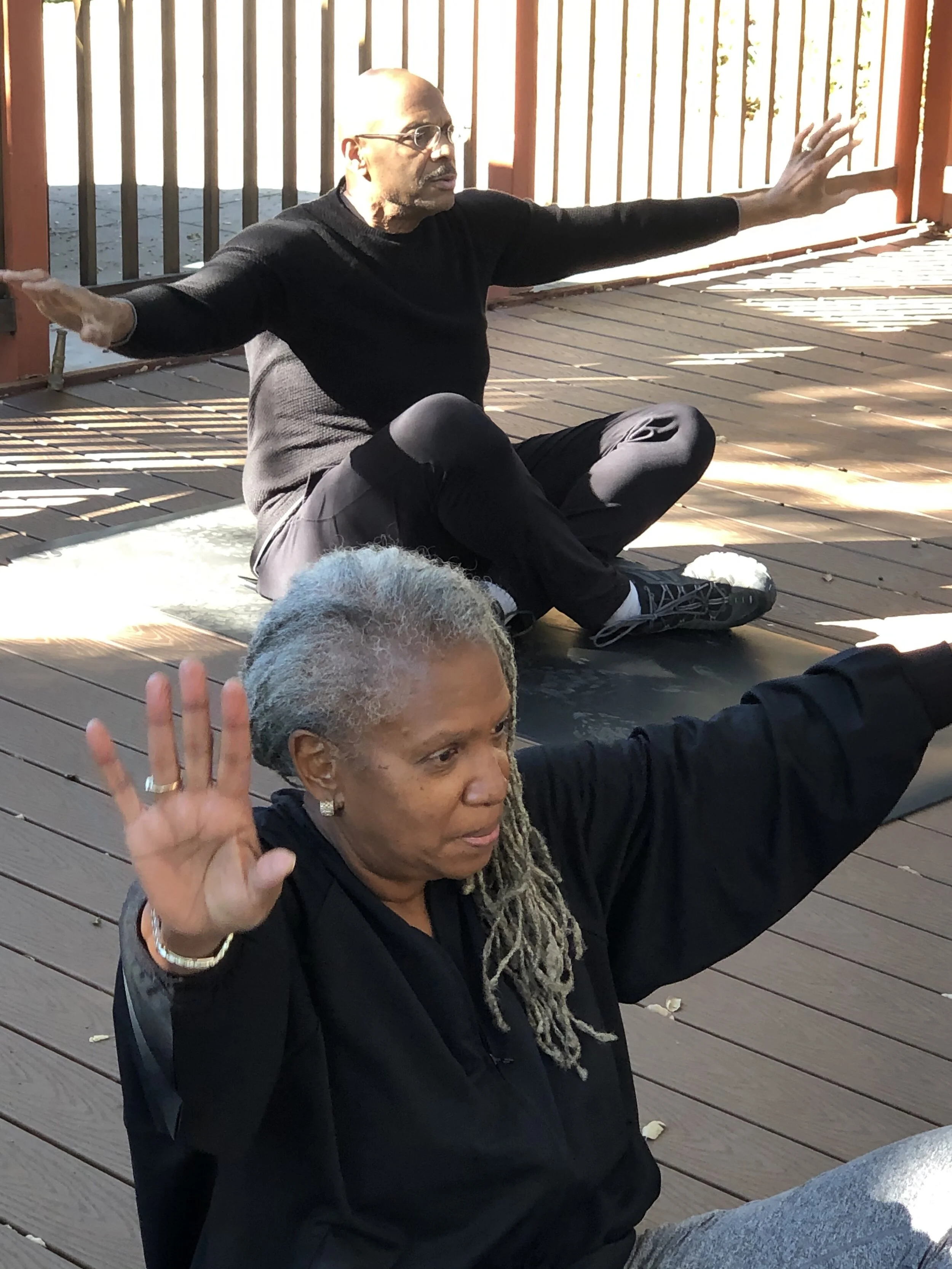 yogamovesandraterrance.jpg