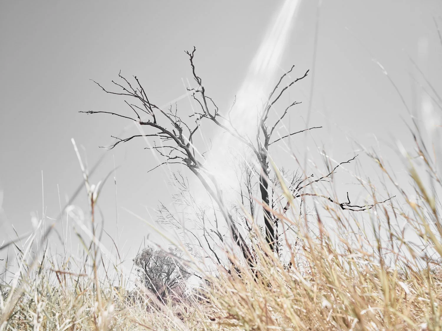 (NEW)"Outback Exposure" | Queensland