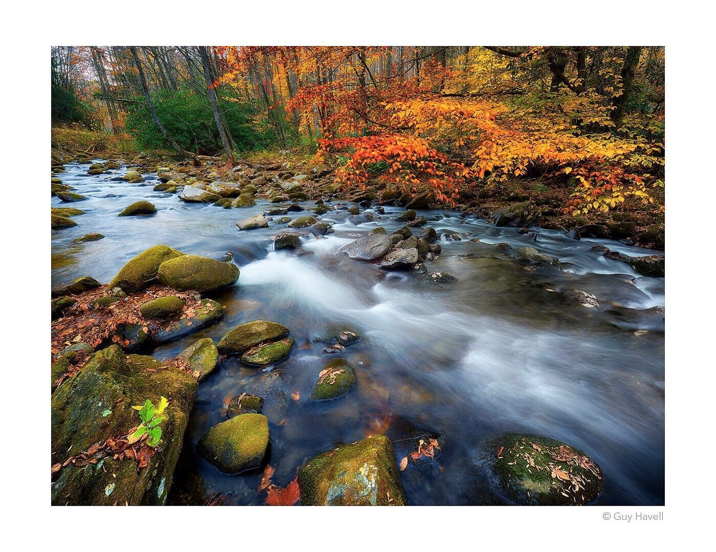 Oconaluftee River, North Carolina, USA. (2012) &copy; Guy Havell.

#northcarolina #fallfoliage #prettypictures #landscapephotography #autumnvibes🍁 #river #nature #beautifuldestinations #mediumformat #phaseonephoto #alpacameras #travel #usa