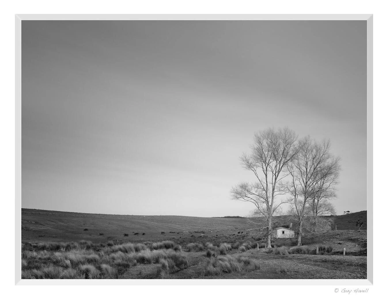 Far Northern New Zealand (2016) &copy; Guy Havell.

#nz #newzealand #newtopographic #bnwphotography #blackandwhitephotography #landscapephotography #fineartphotography #trees #hut #tinyhouse #shack #travel #isolation #bw #monochromatic