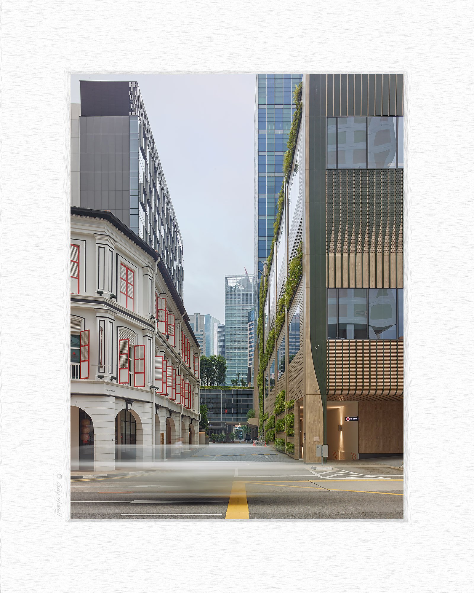 CF021166 matting © Guy Havell 2026.jpg