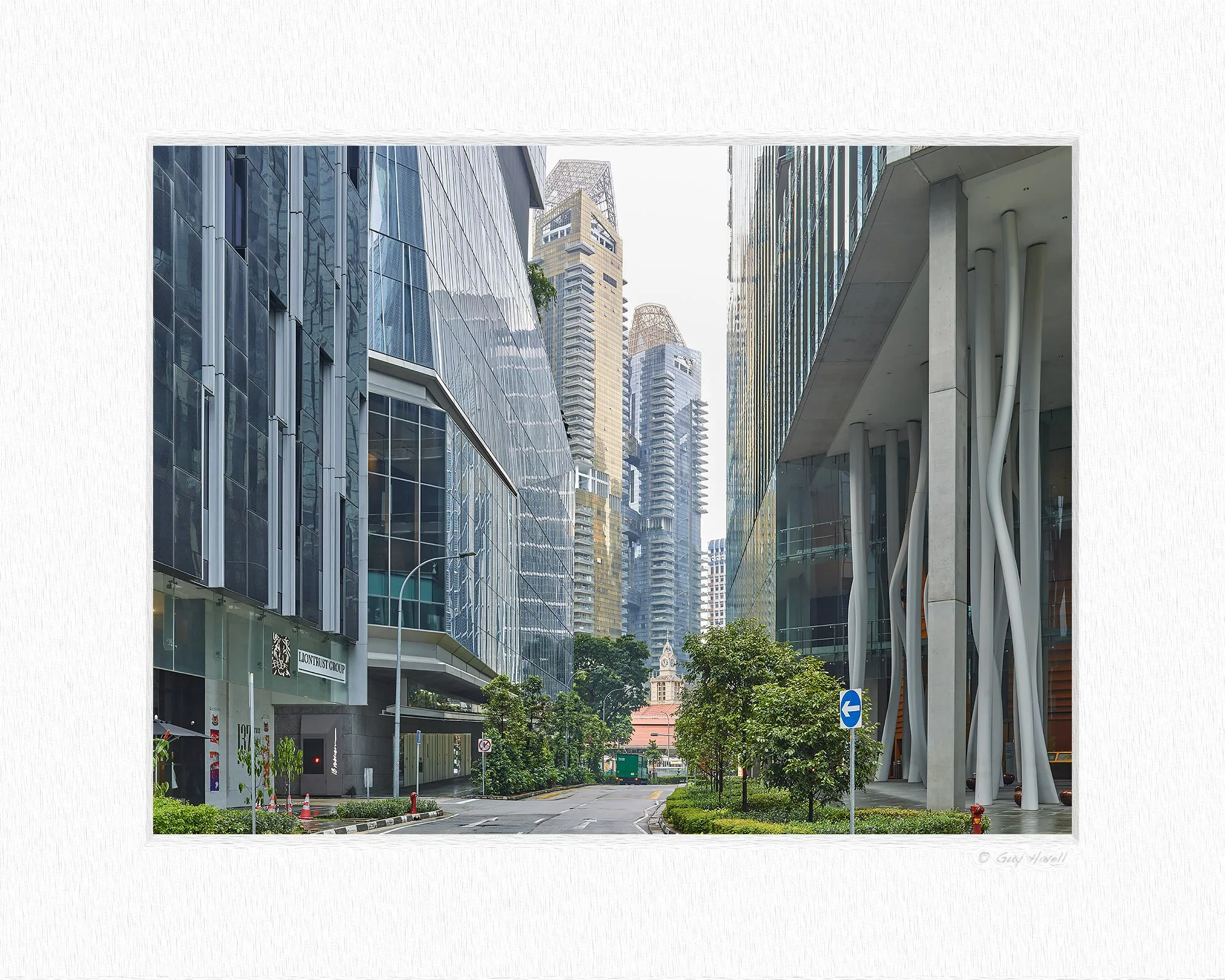 CF021181 matting © Guy Havell.jpg