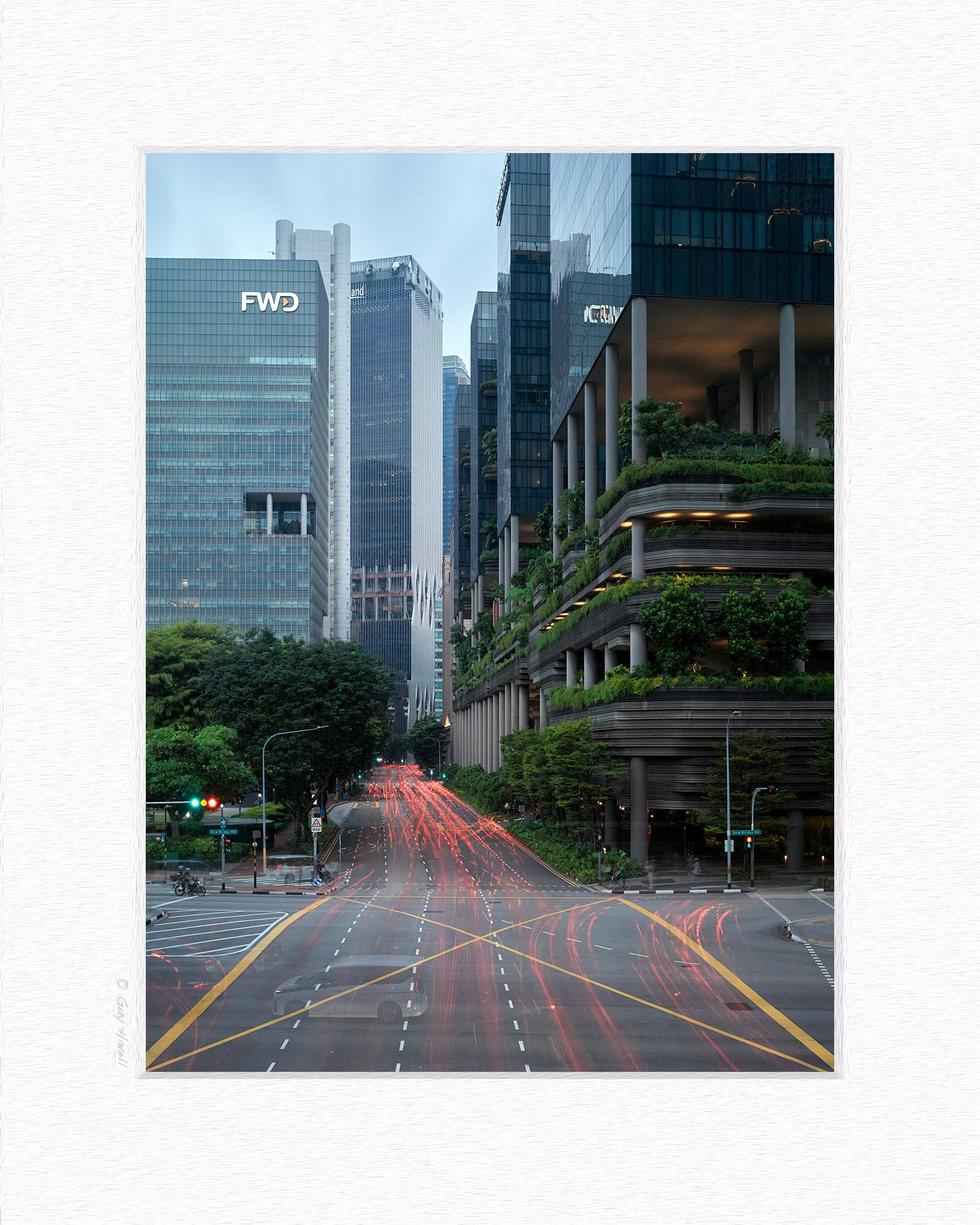 CF021207 1 matting © Guy Havell.jpg