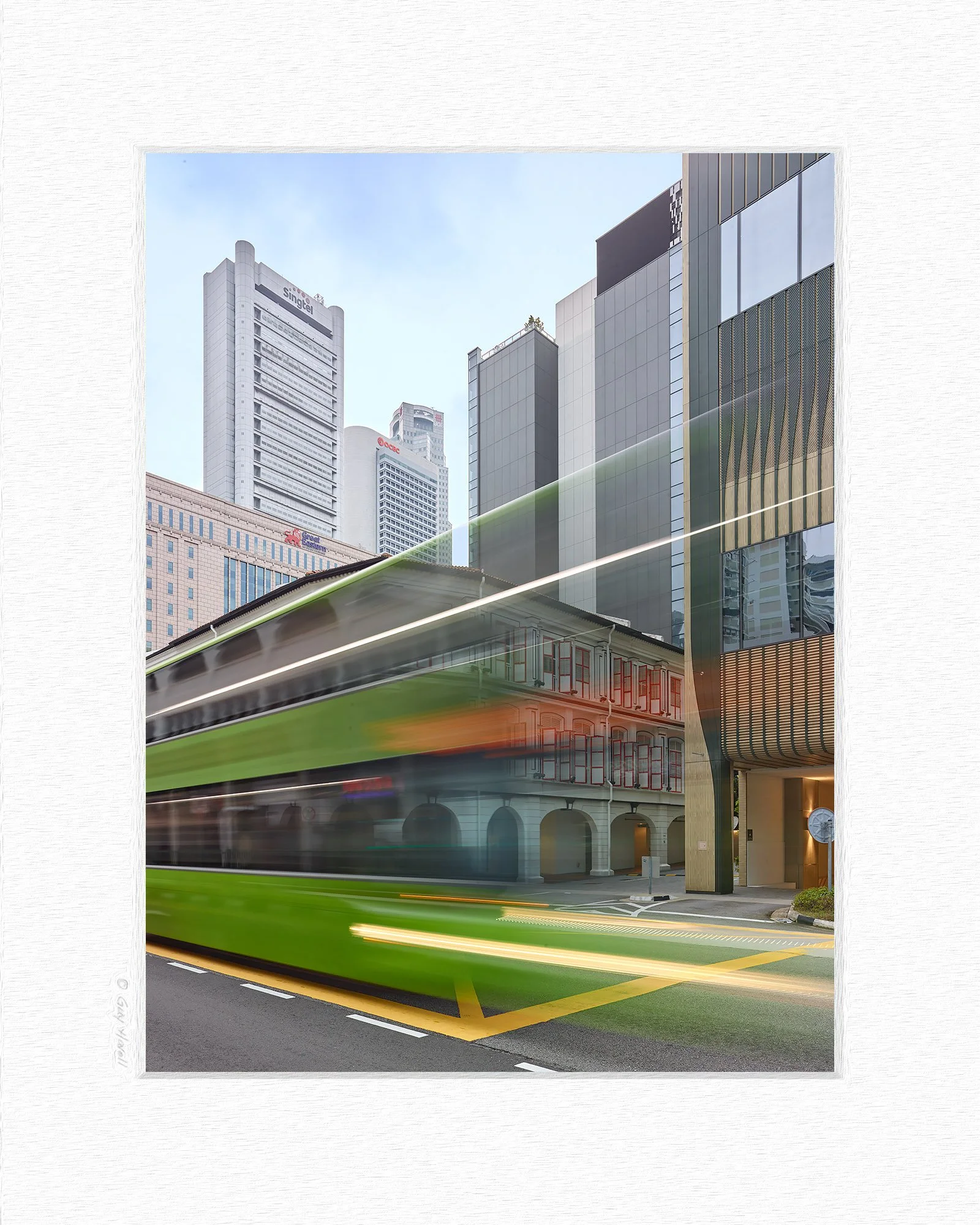 CF021247 matting © Guy Havell.jpg