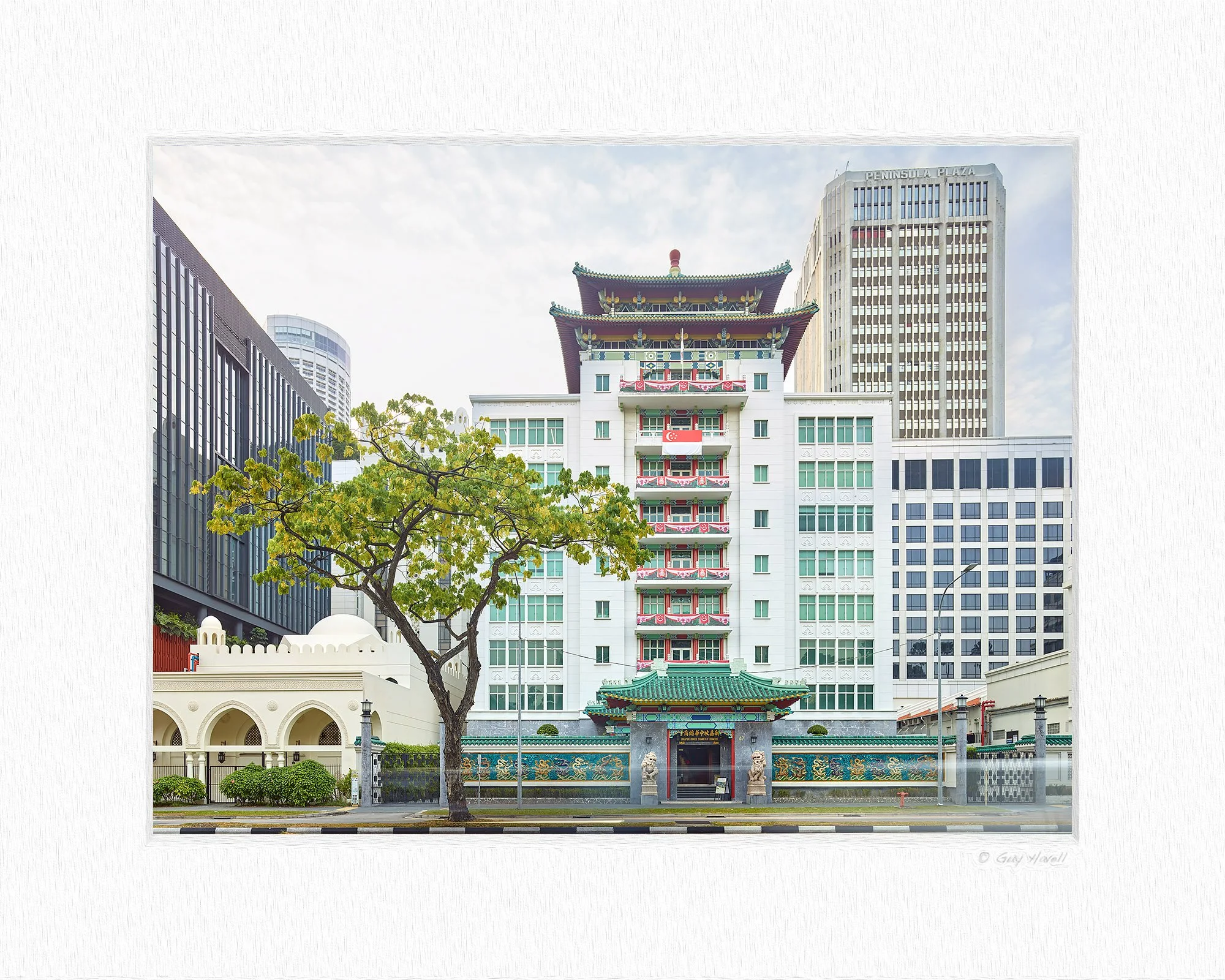CF021324 matting © Guy Havell.jpg