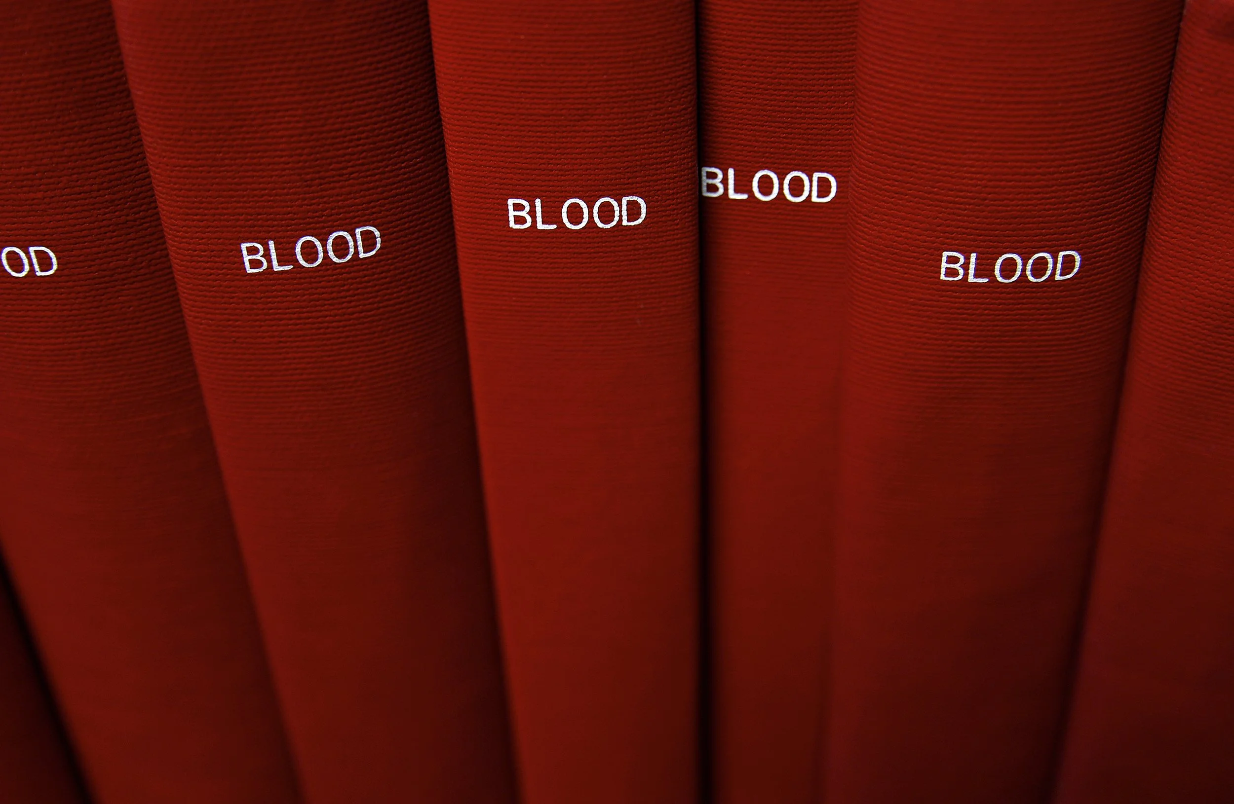 BLOOD showing with MotherMother at Sanderson Contemporary / Auckland, NZ / 23 July - 23 August 2026