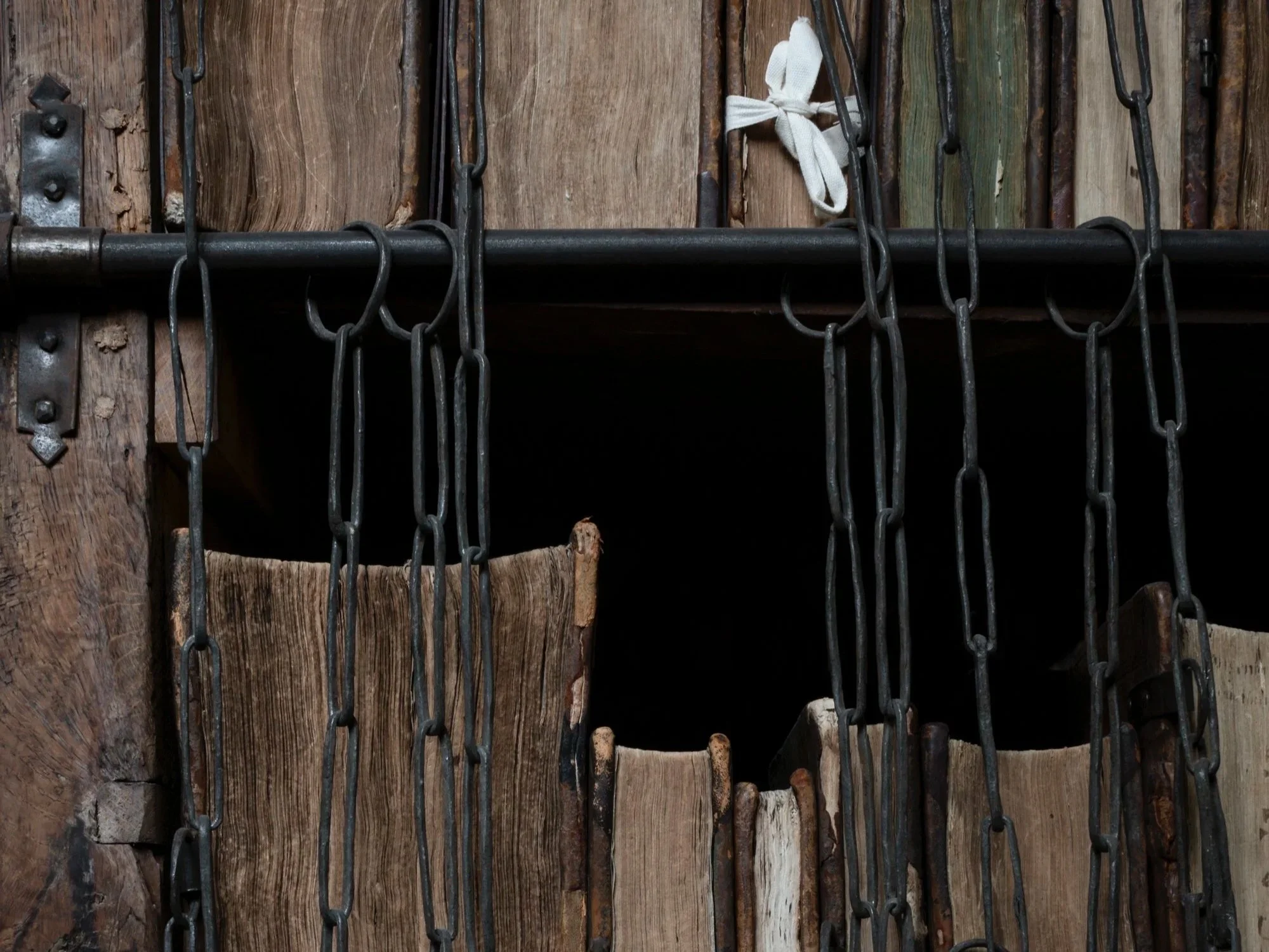 Morphologies in Aotearoa