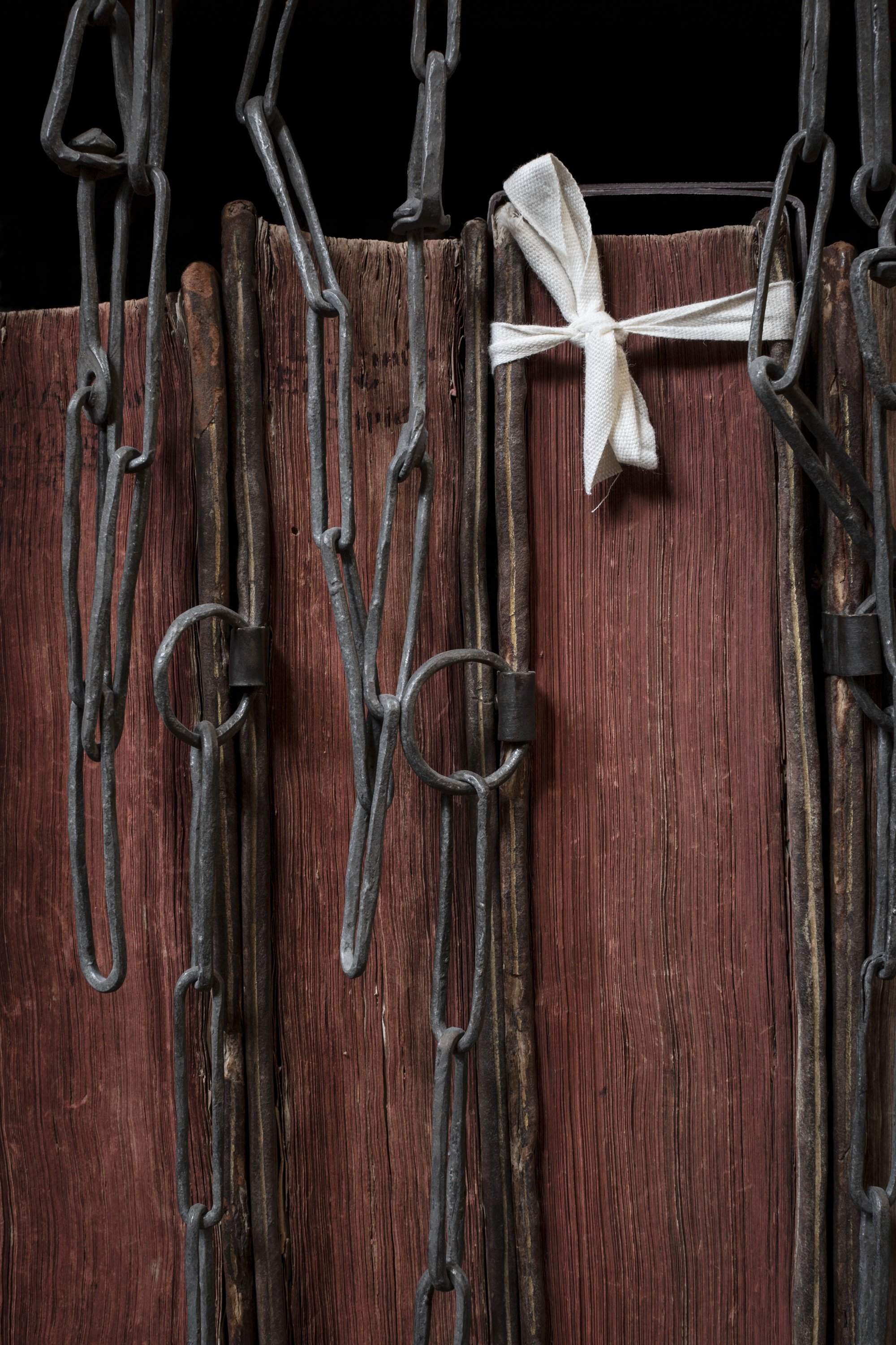 Morphologies touring exhibition travels to The Arts House Trust / Auckland, NZ / 5 March - 24 May 2026